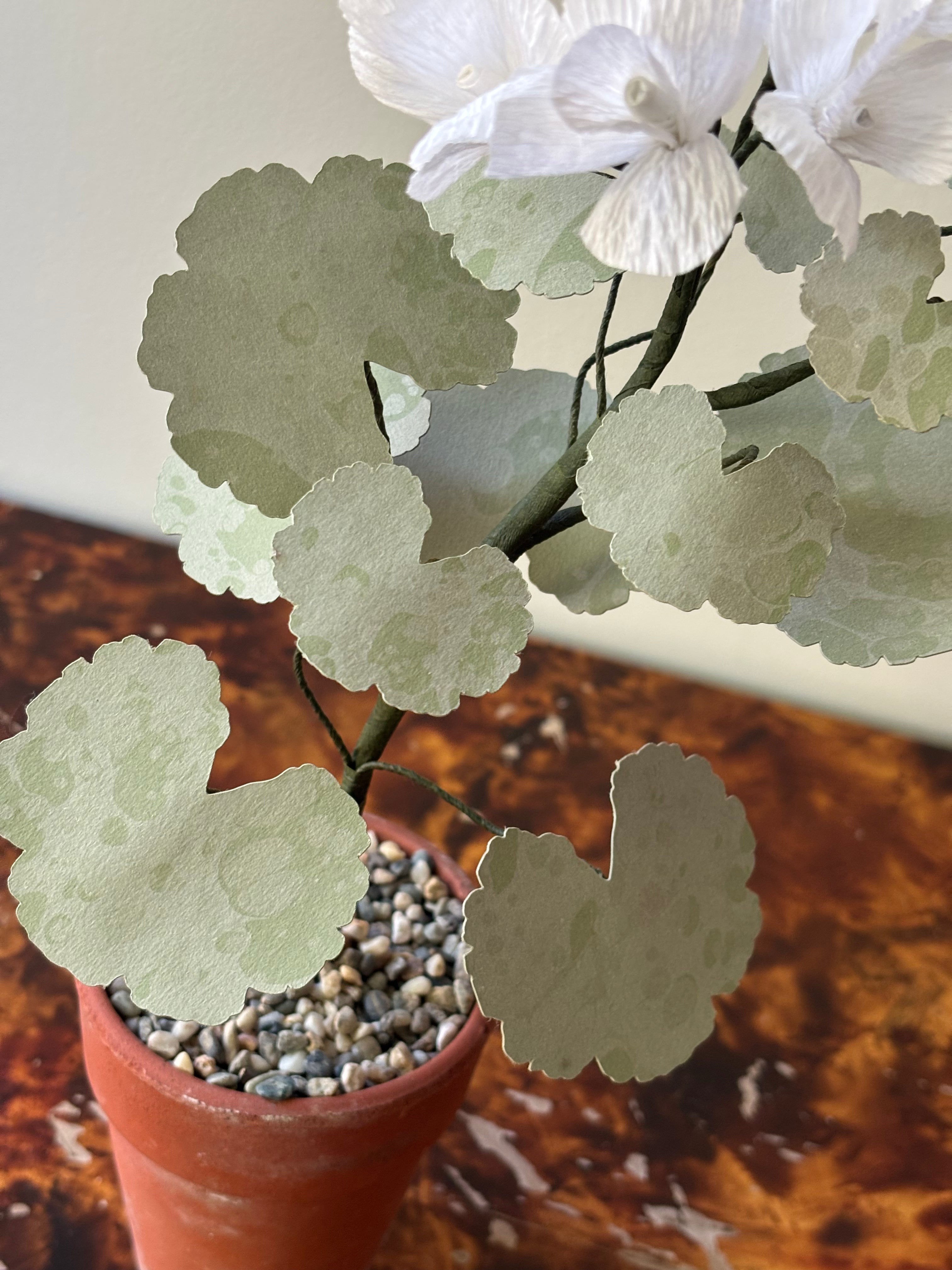 Paper Geranium