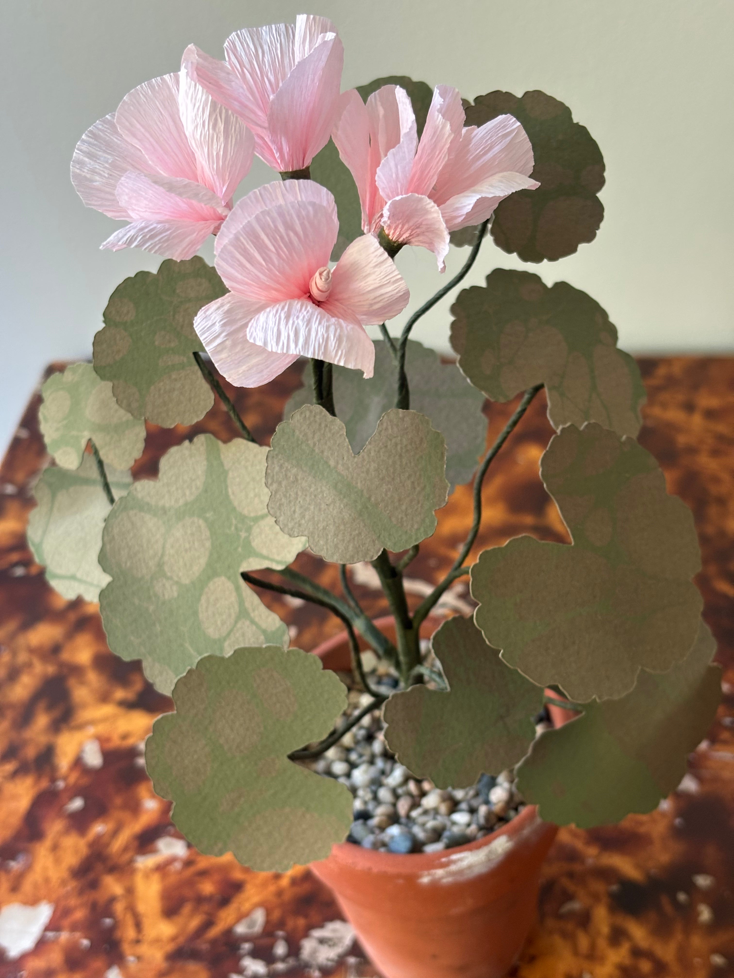 Paper Geranium