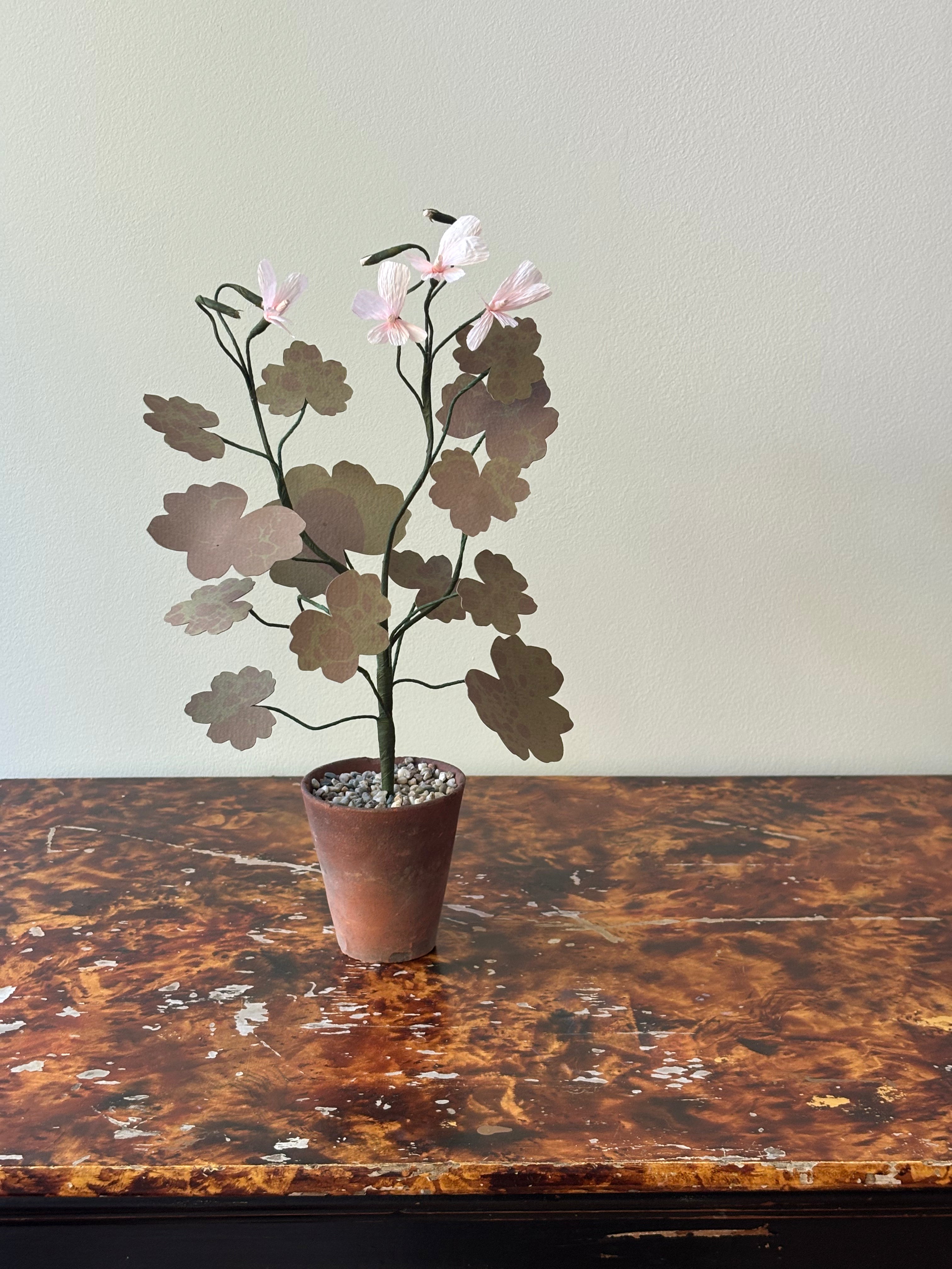 Paper Geranium
