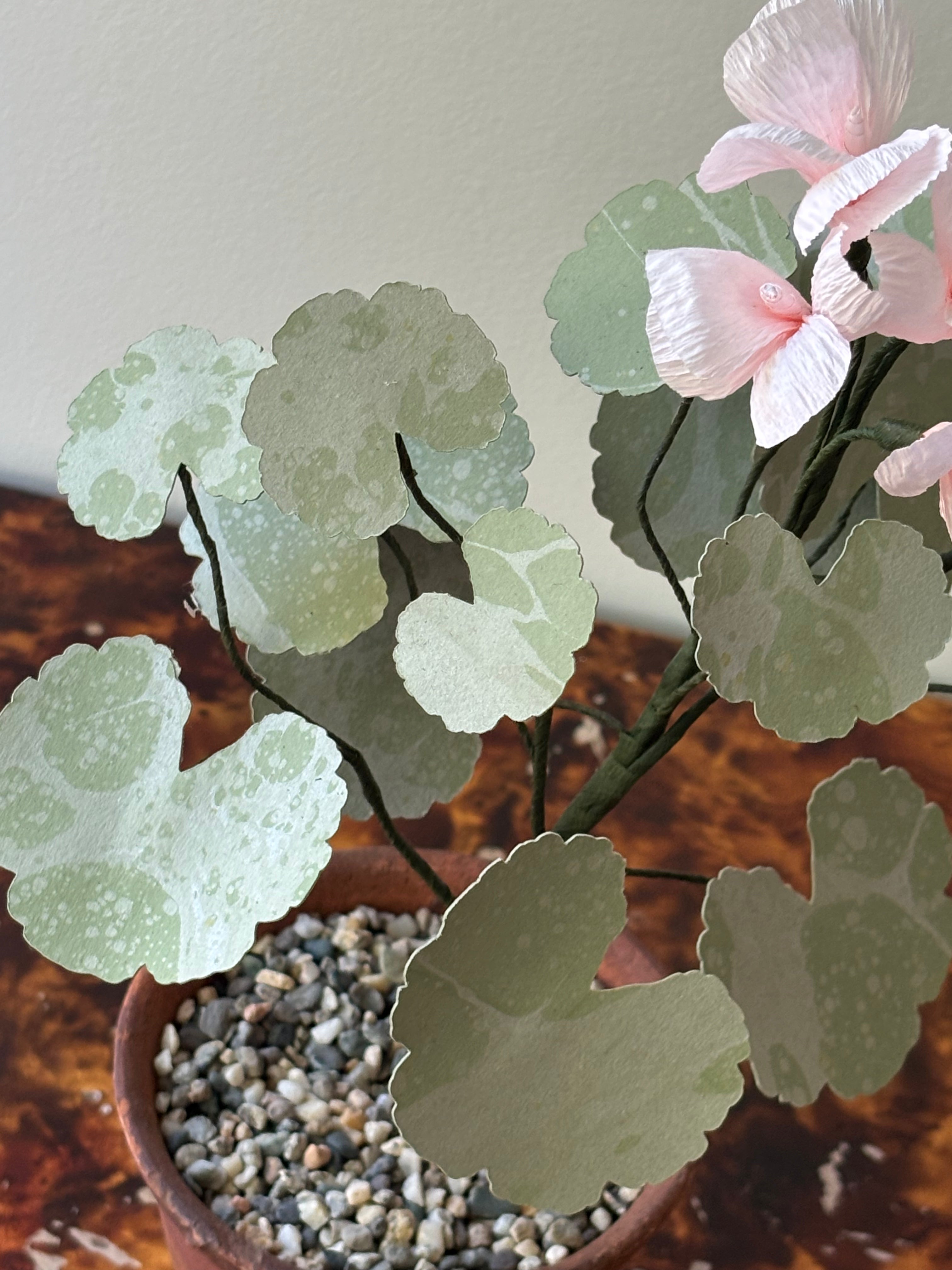 Paper Geranium