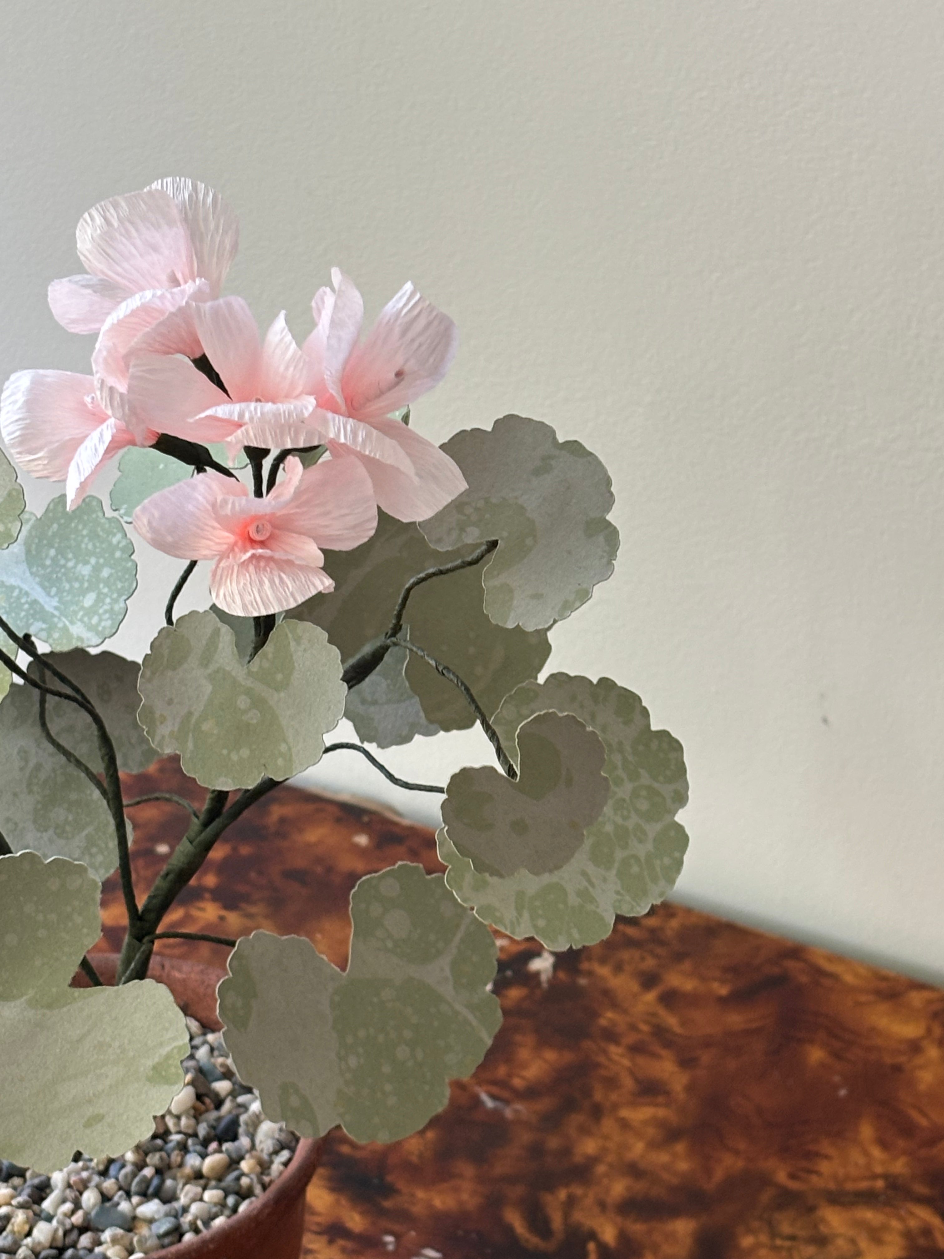 Paper Geranium
