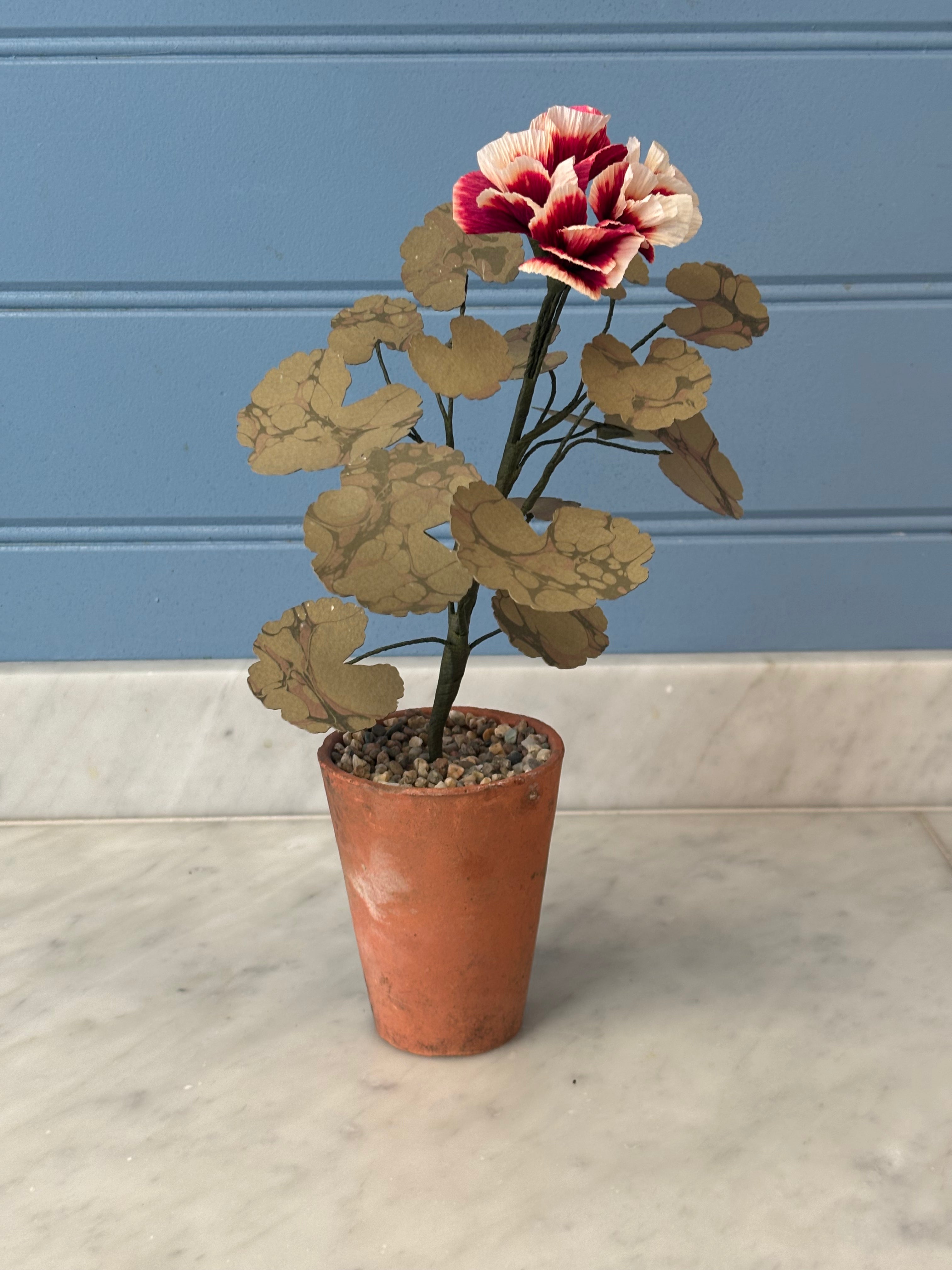 Paper Geranium - SECOND
