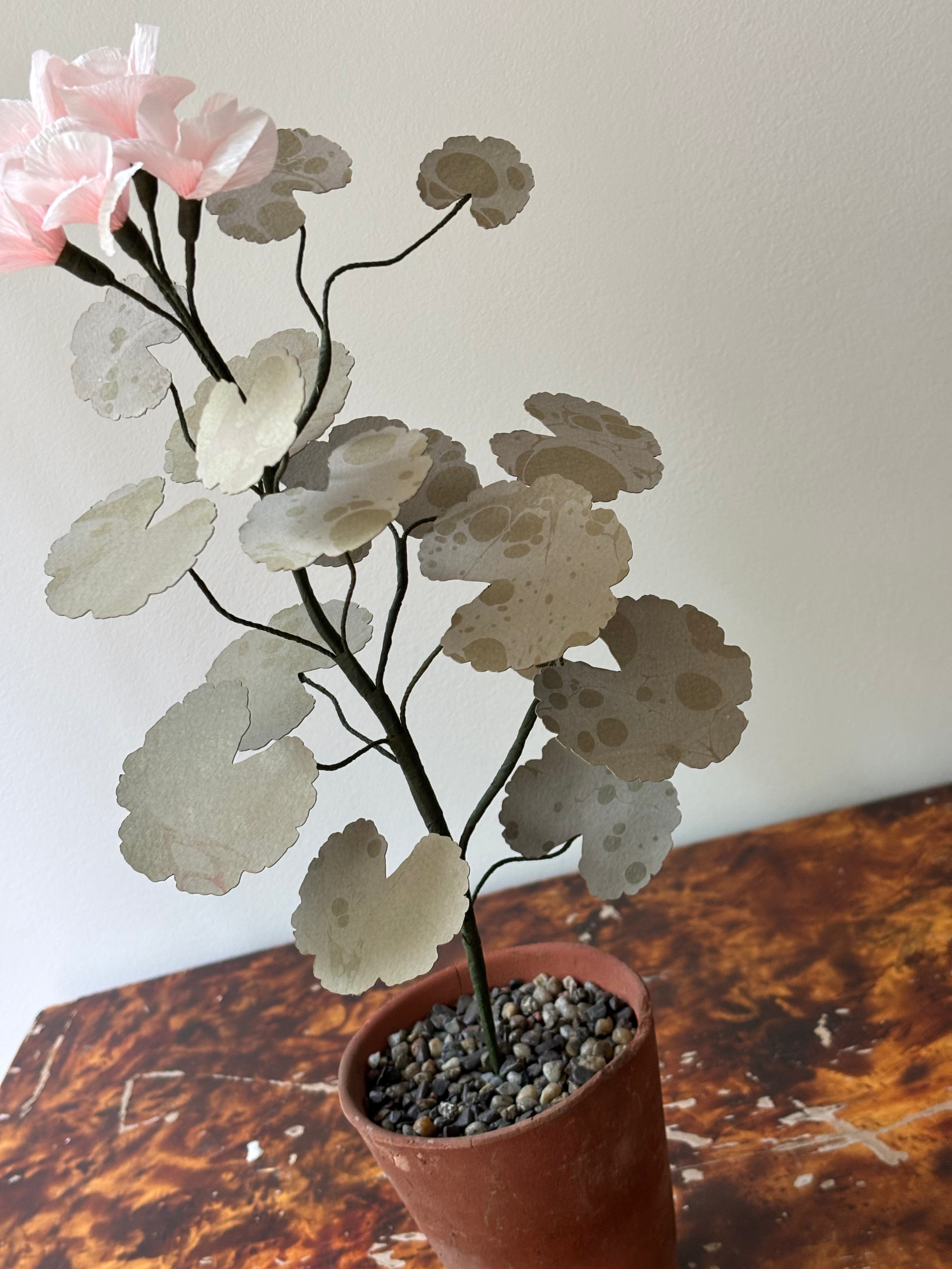 Paper Geranium
