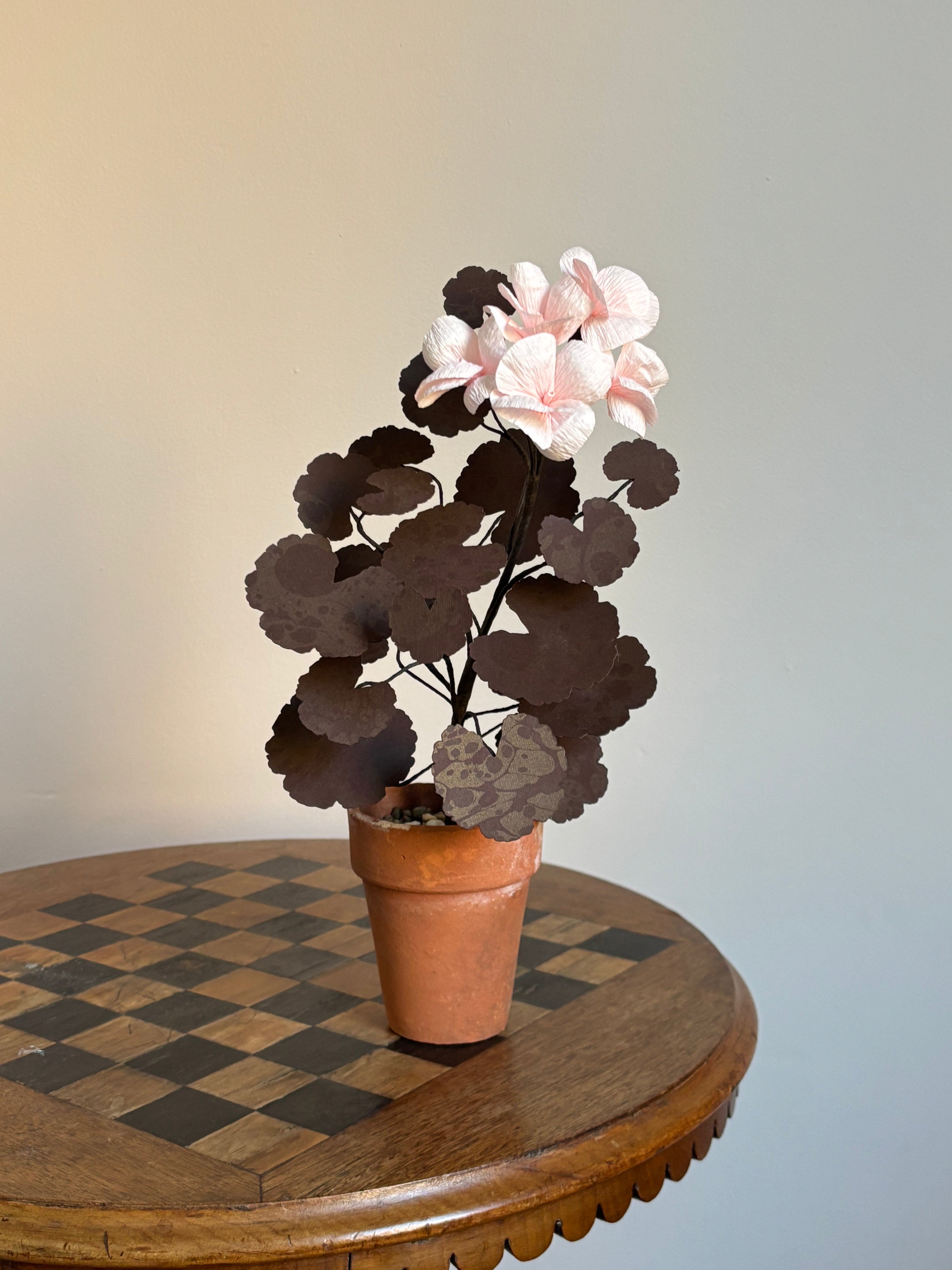 Paper Geranium