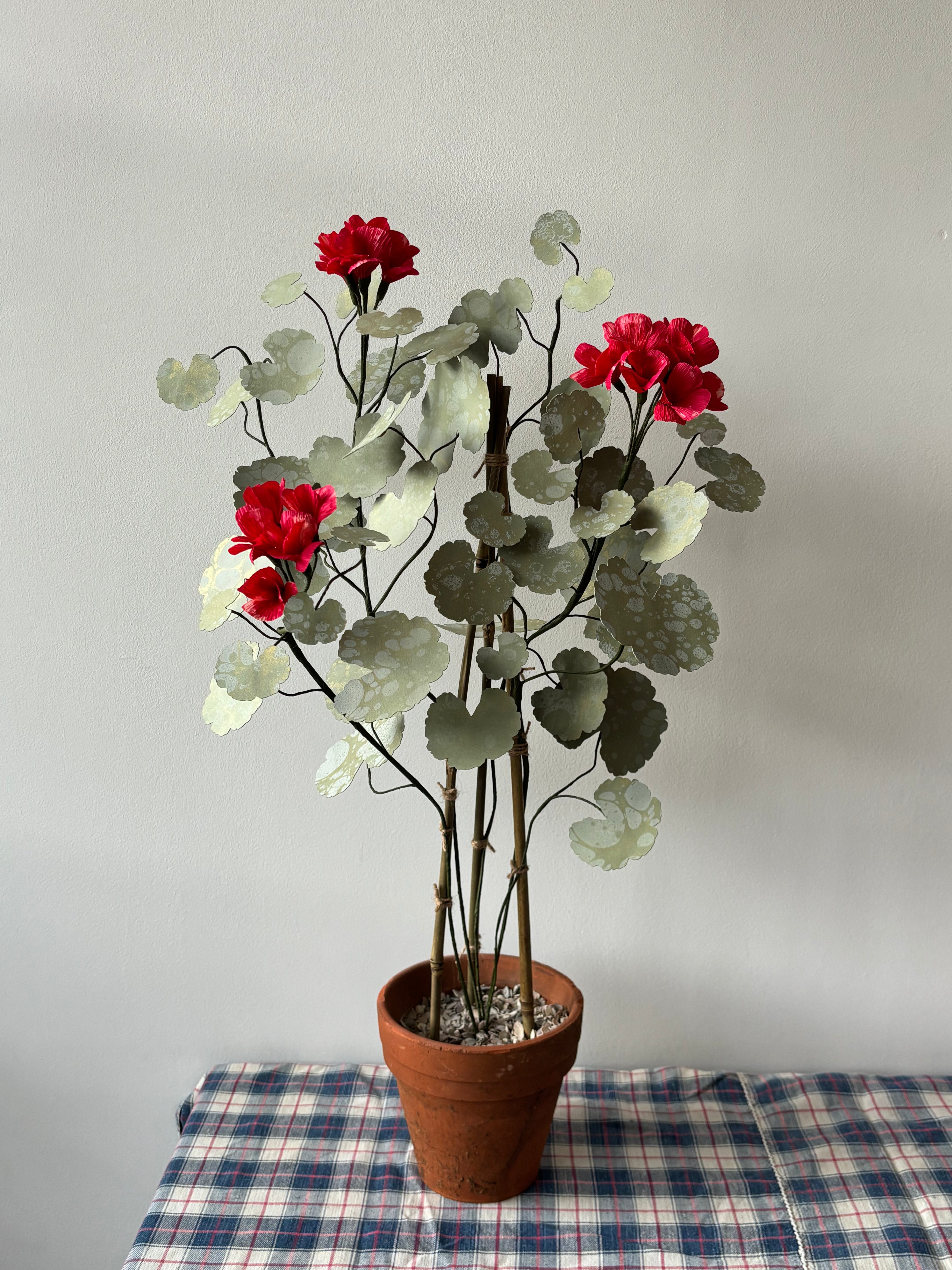 Paper Geranium