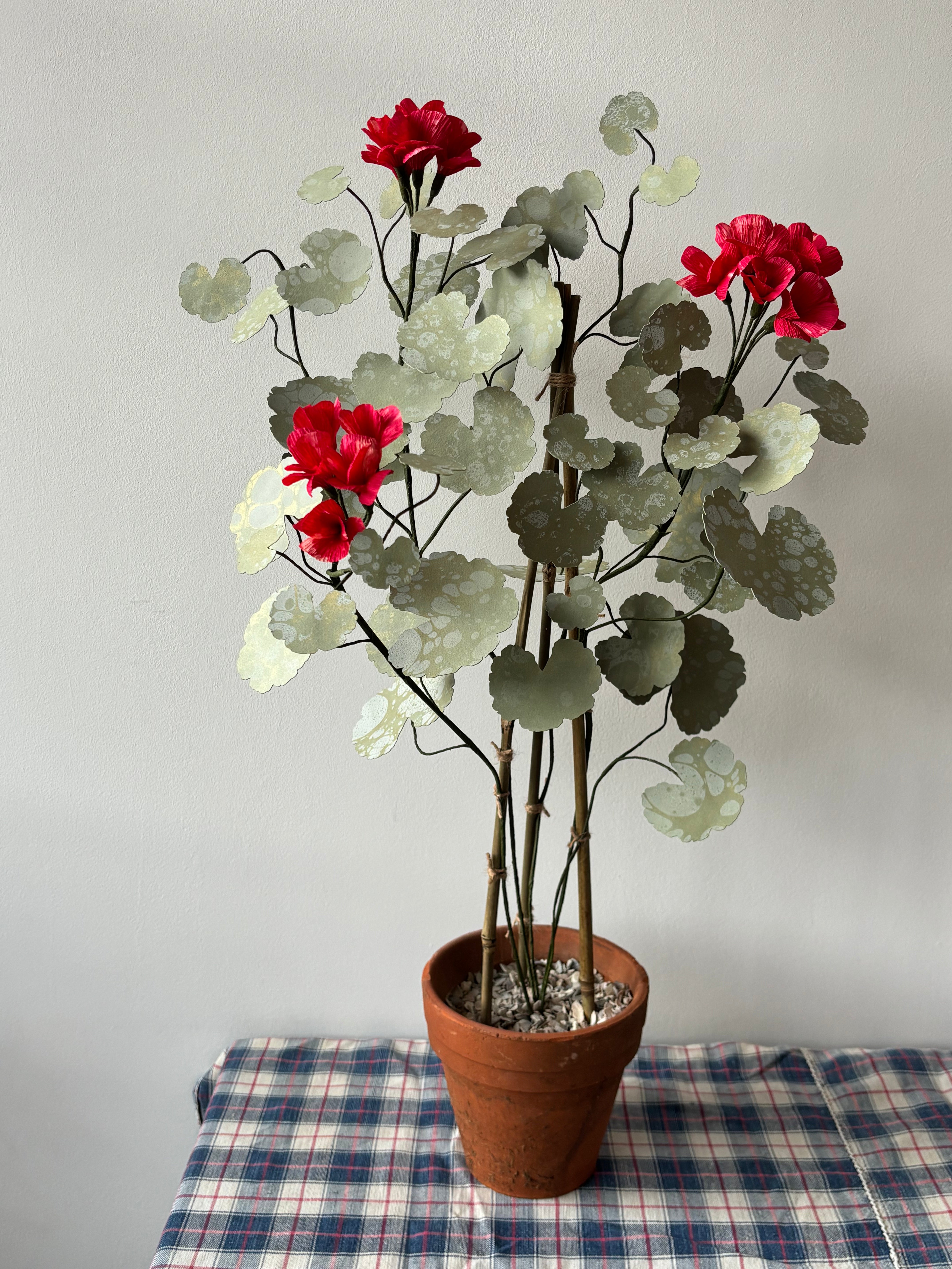 Paper Geranium