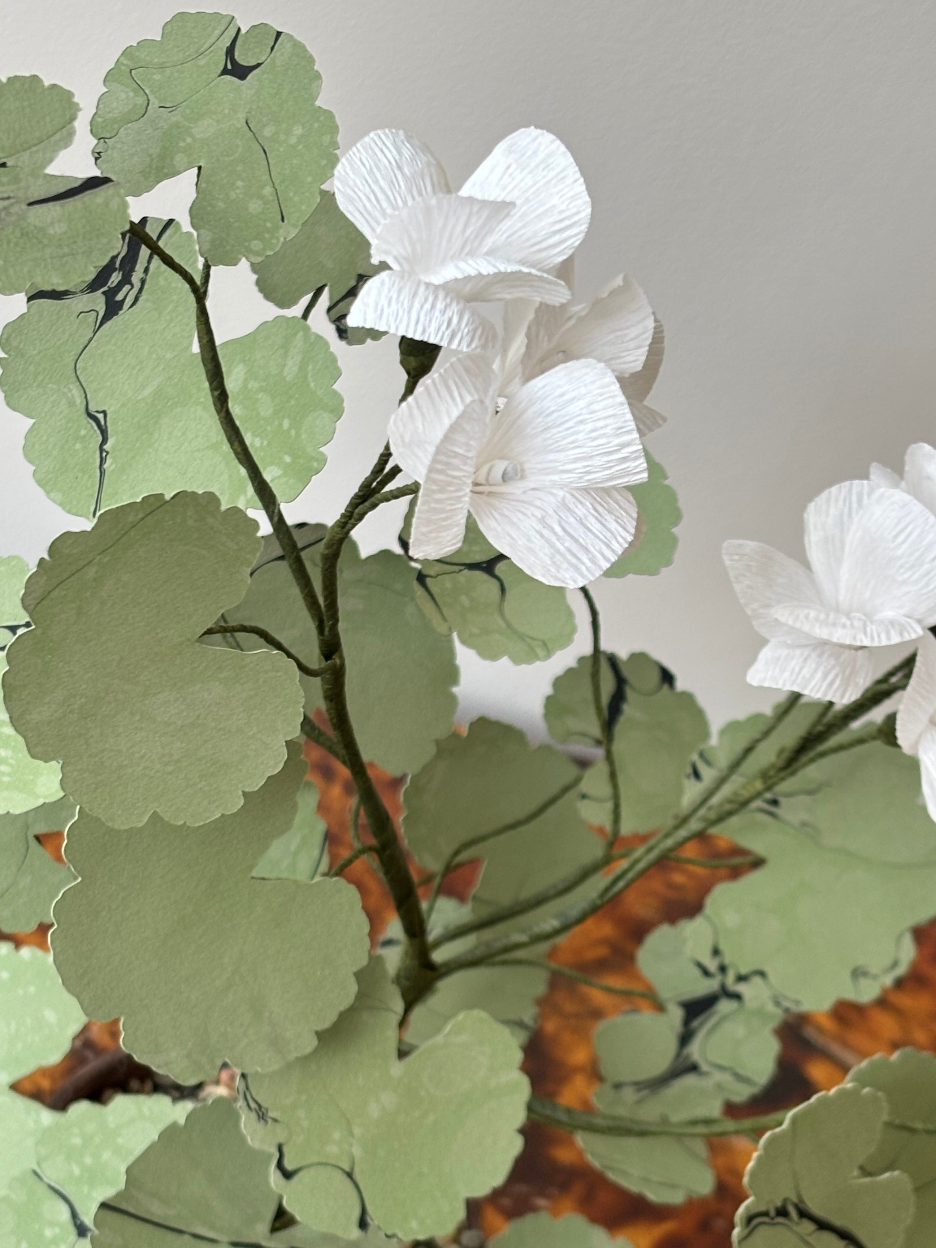 Paper Geranium