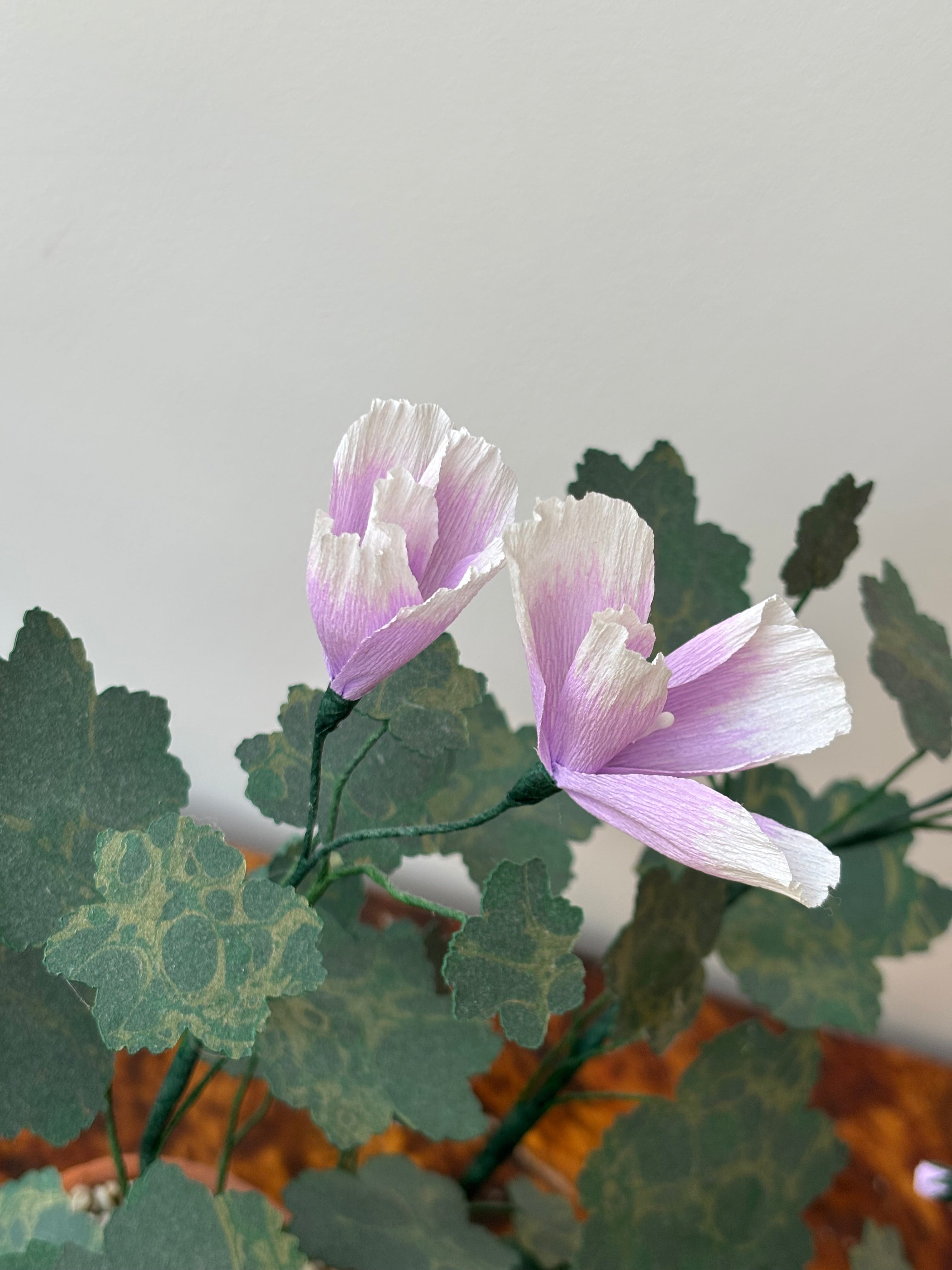 Paper Geranium