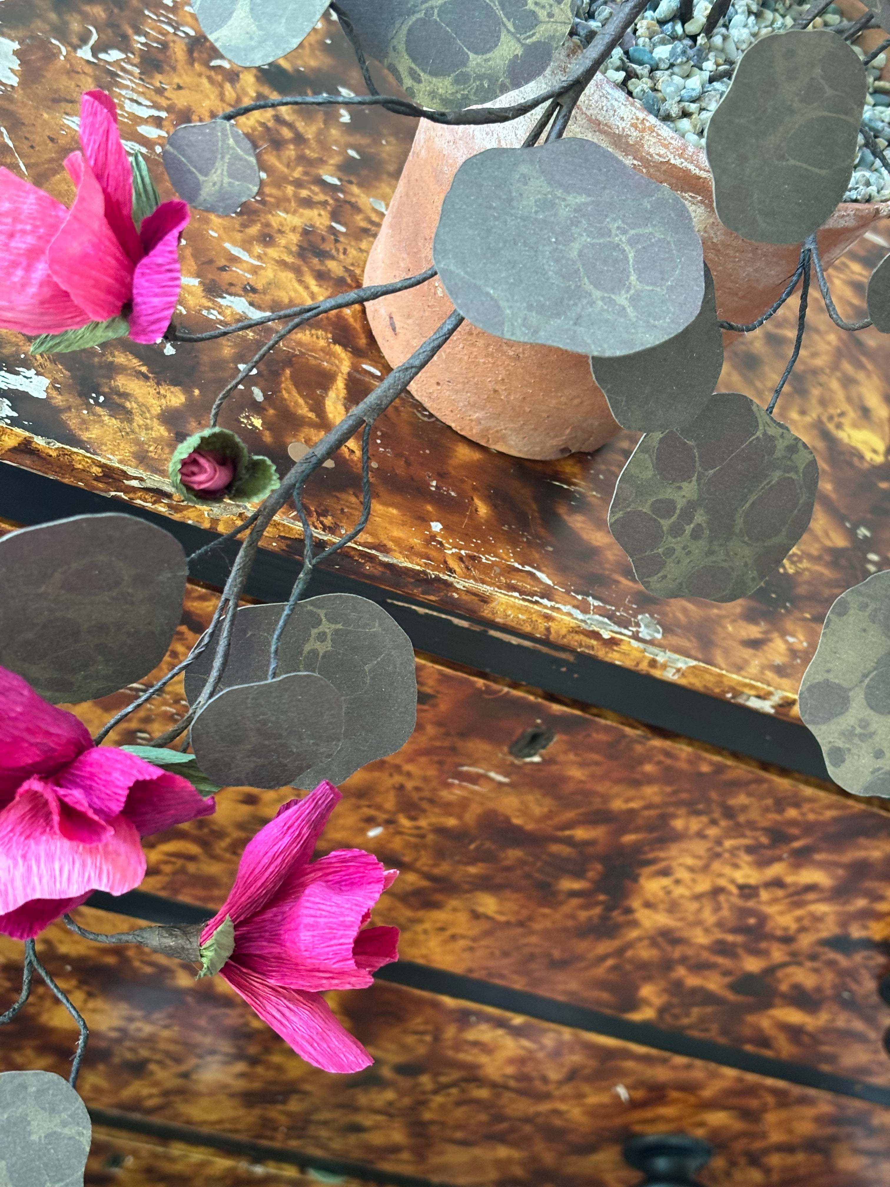 Paper nasturtium, trailing