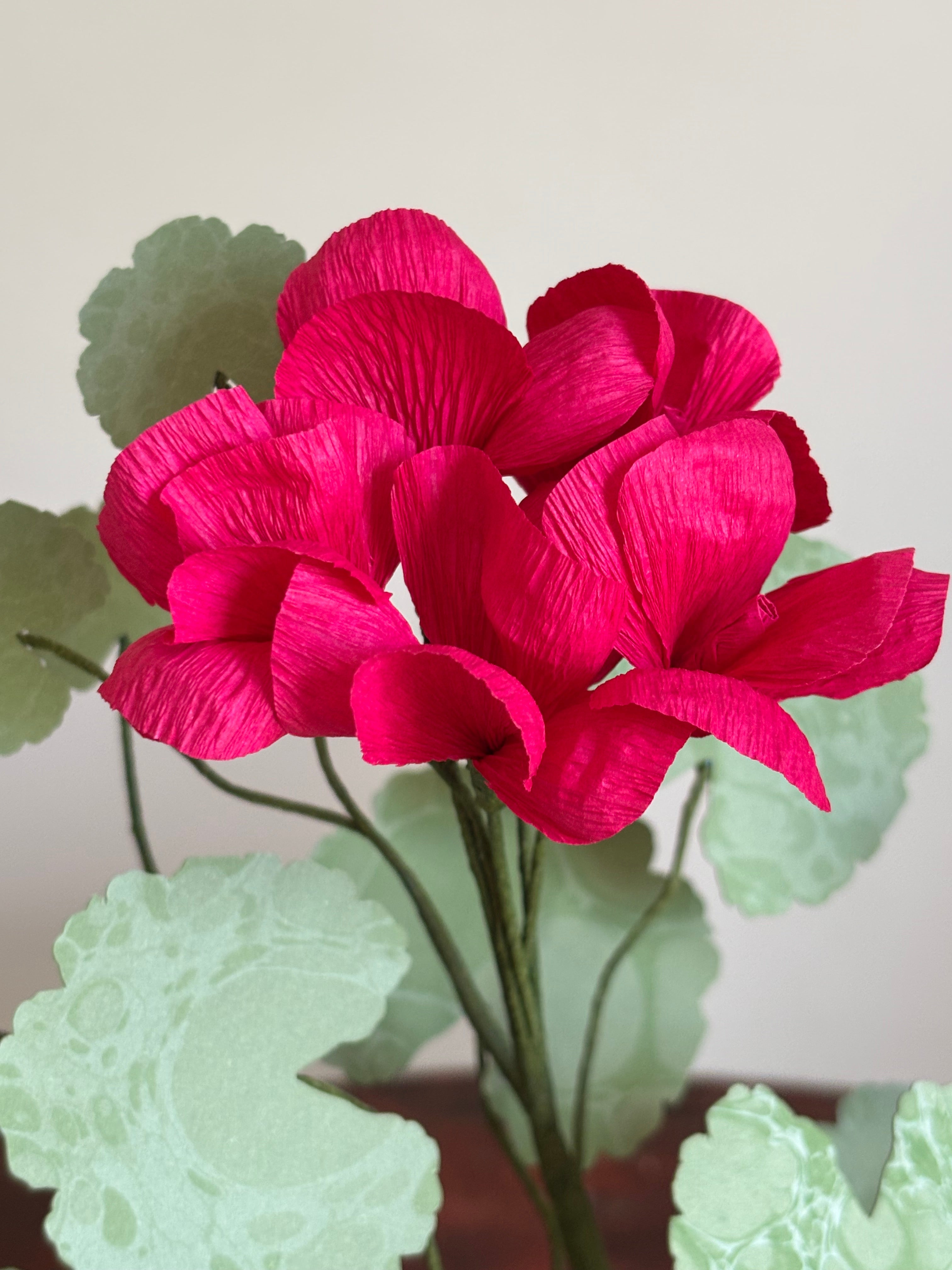 Paper Geranium