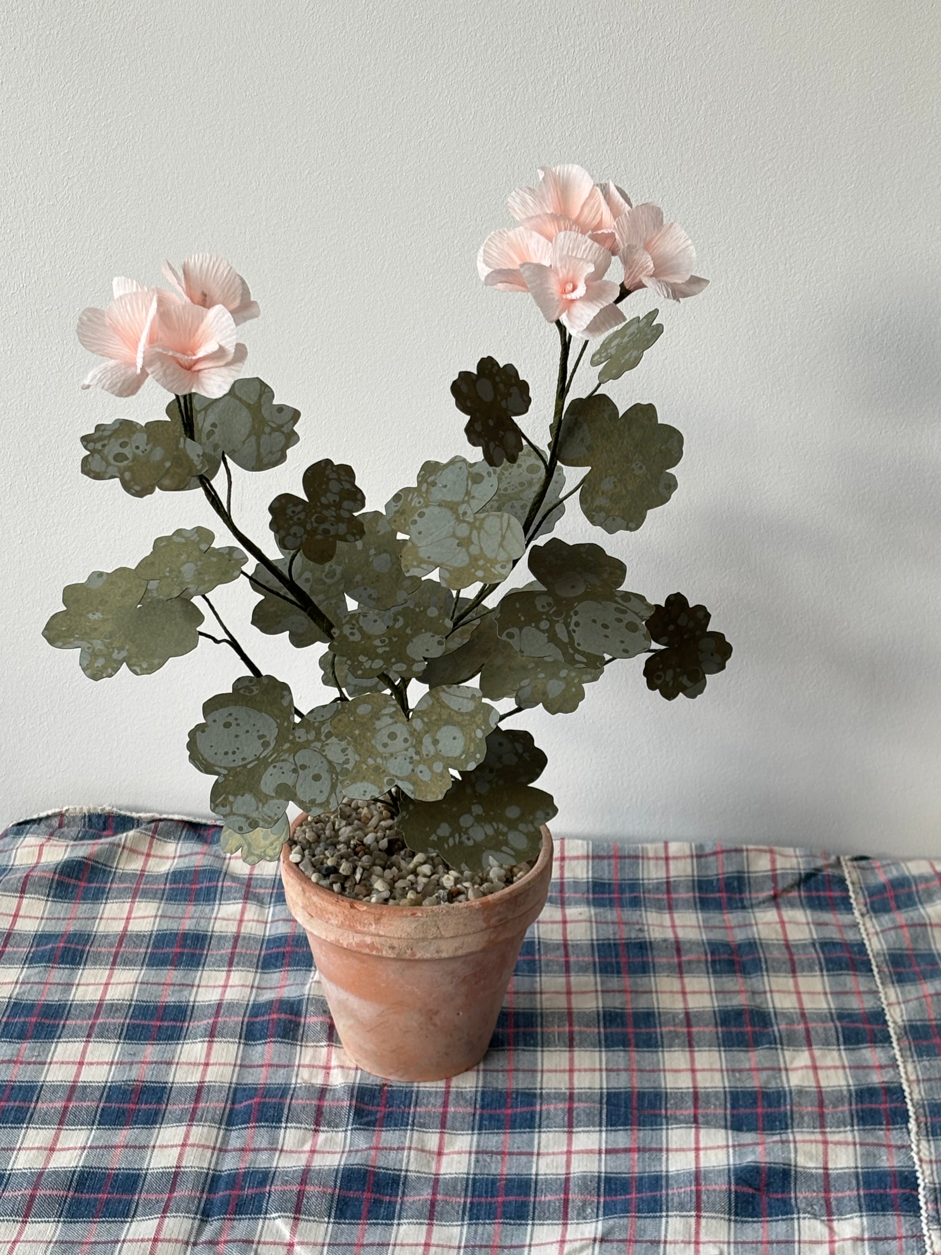 Paper Geranium