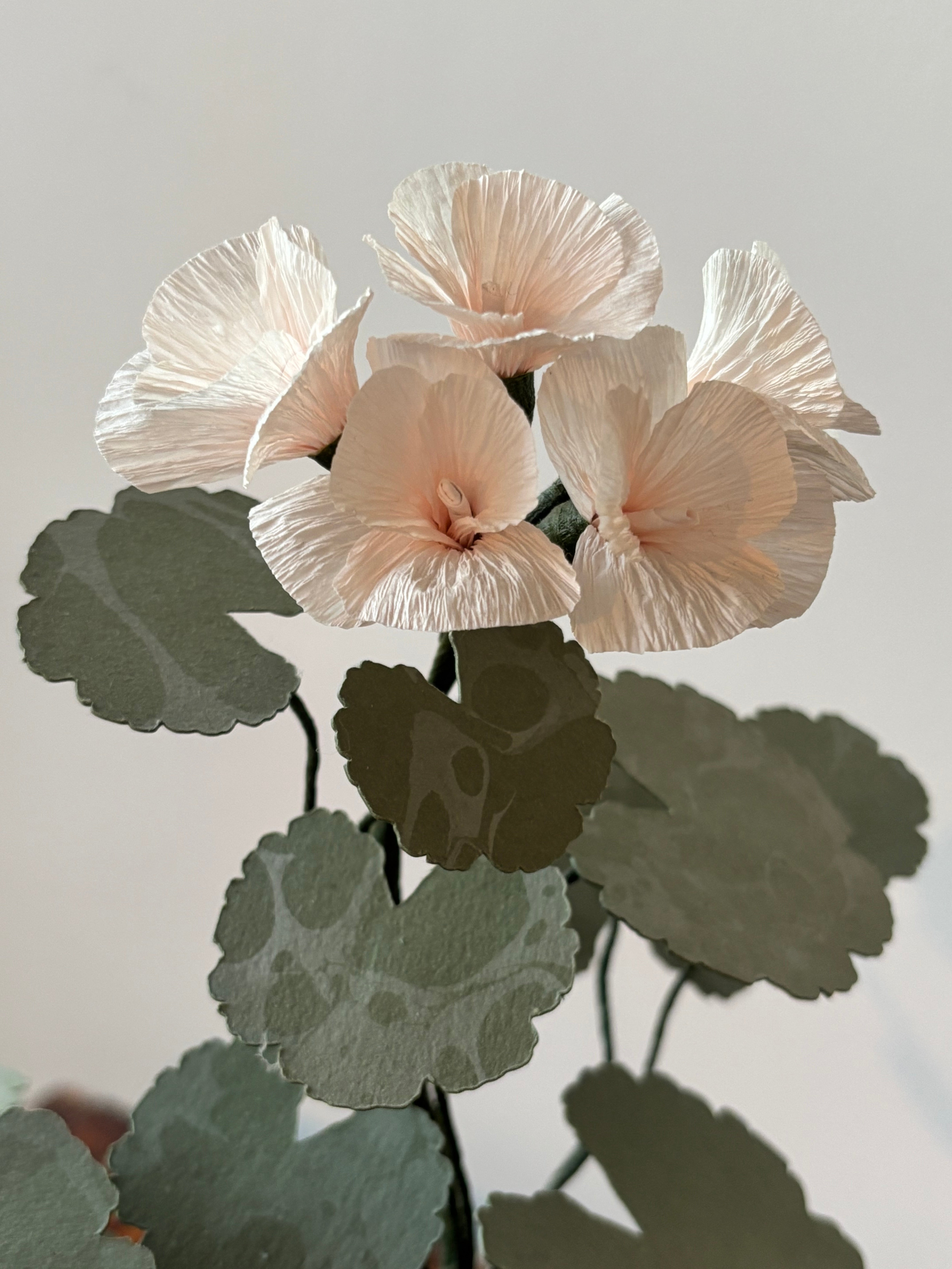 Paper Geranium