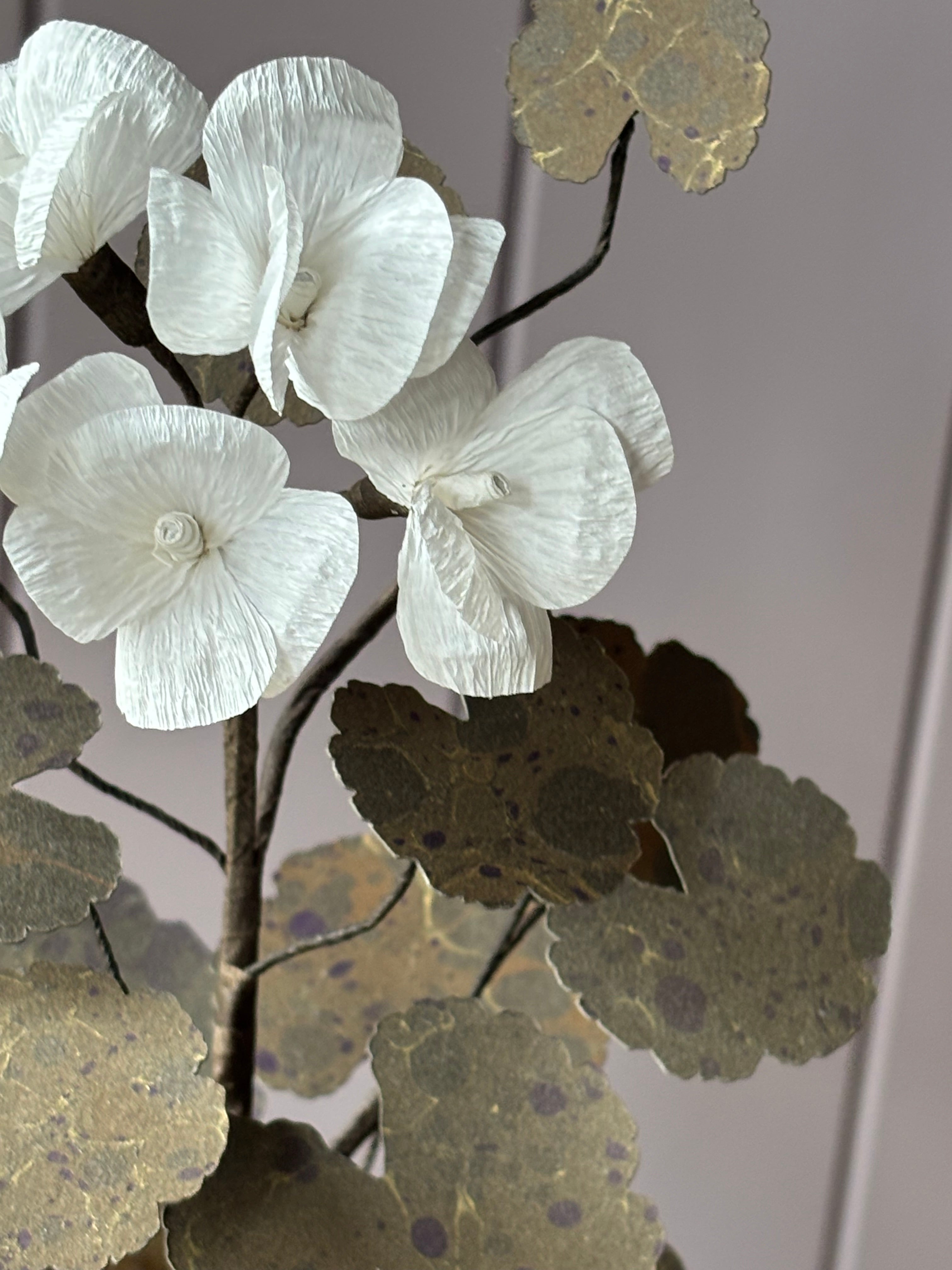 Paper Geranium