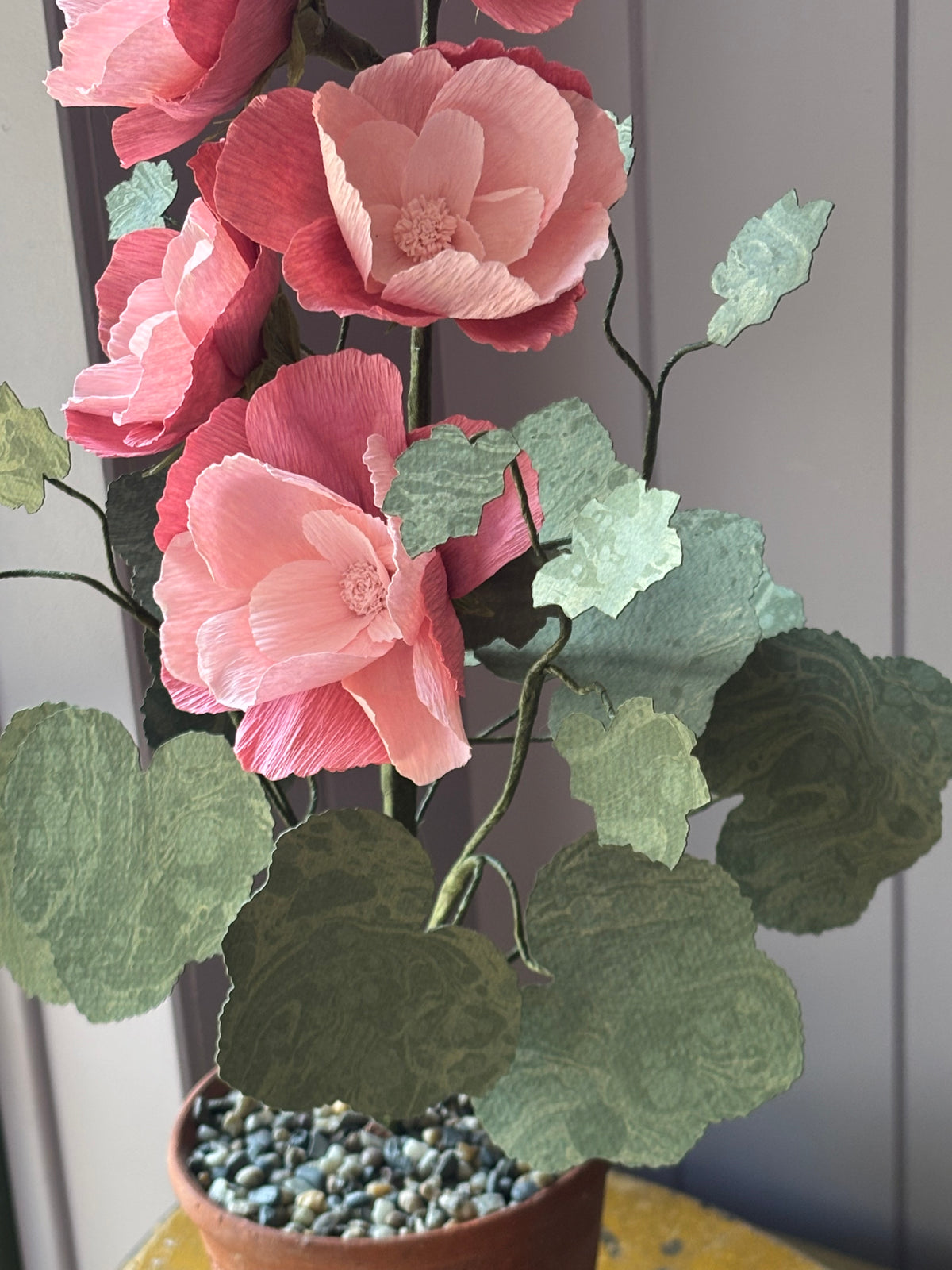 Paper Hollyhock