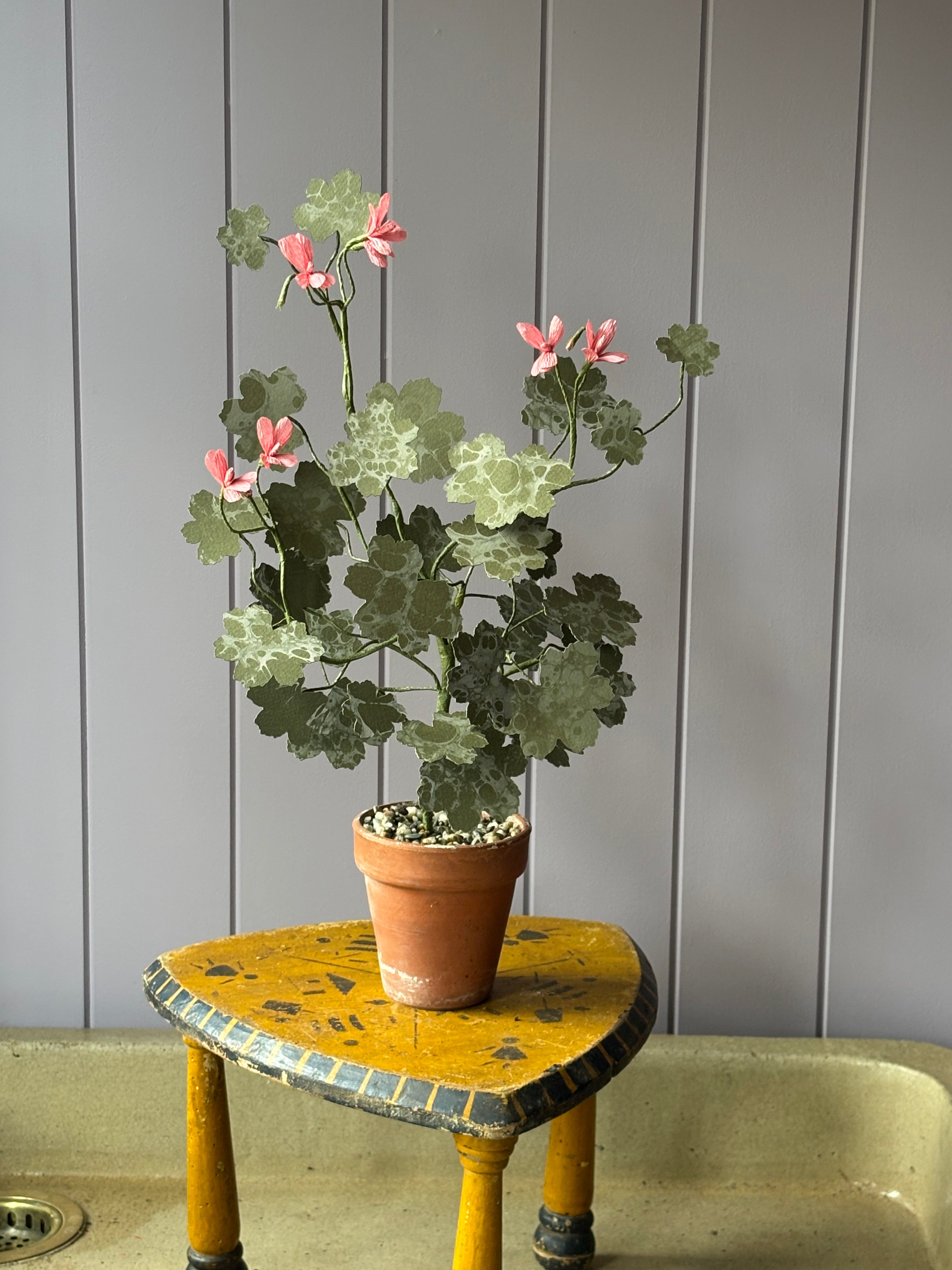 Paper Geranium