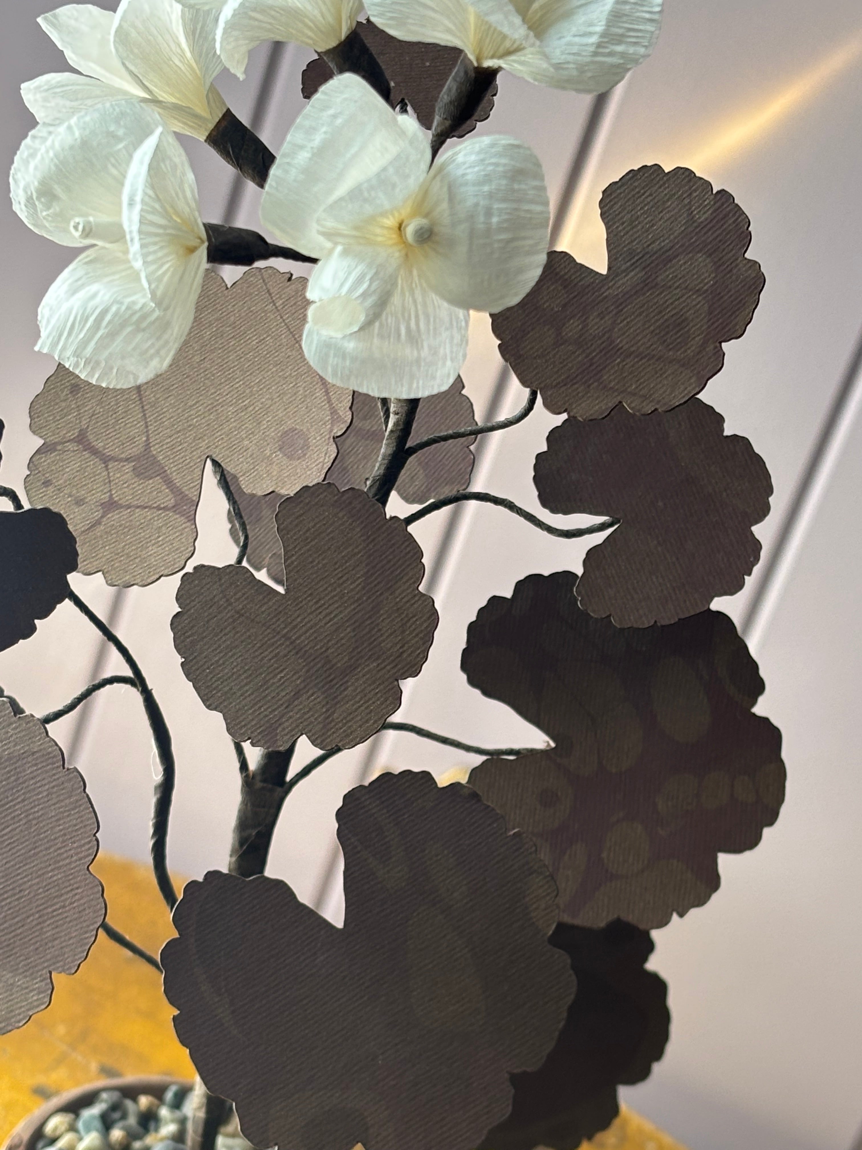 Paper geranium