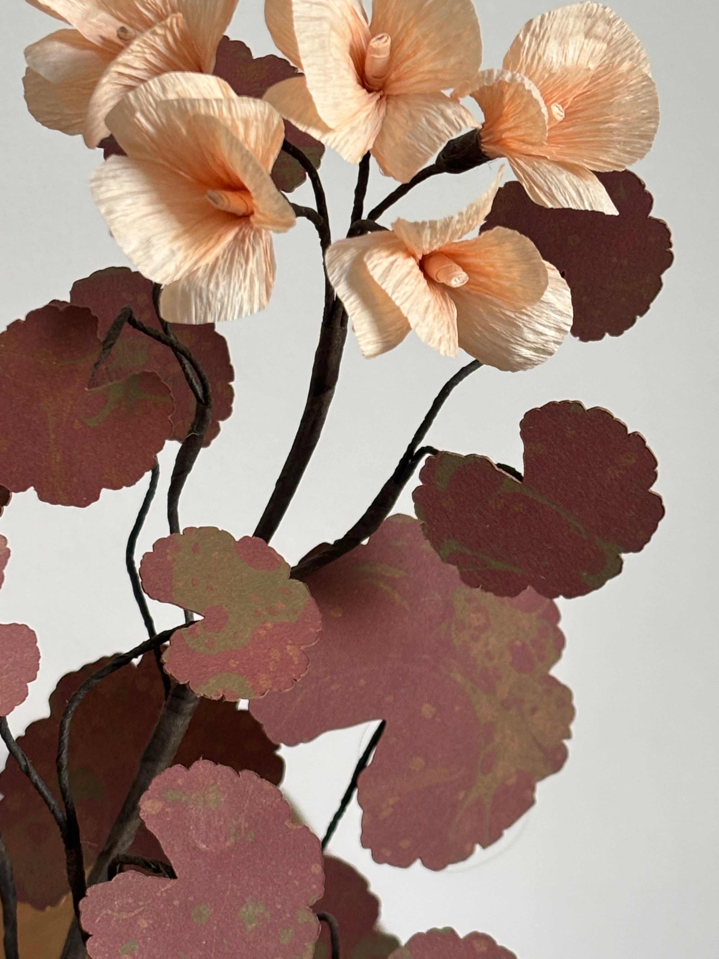 Paper Geranium