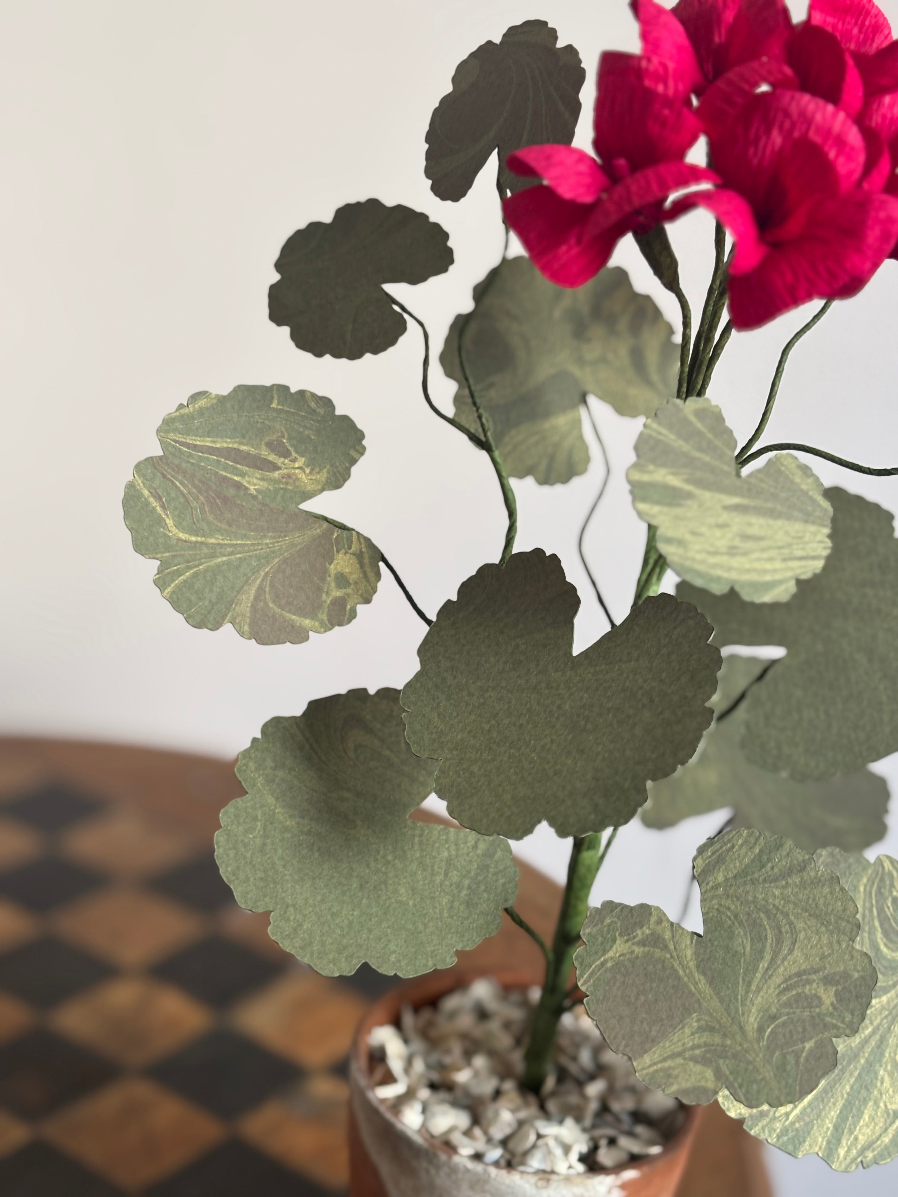 Paper Geranium