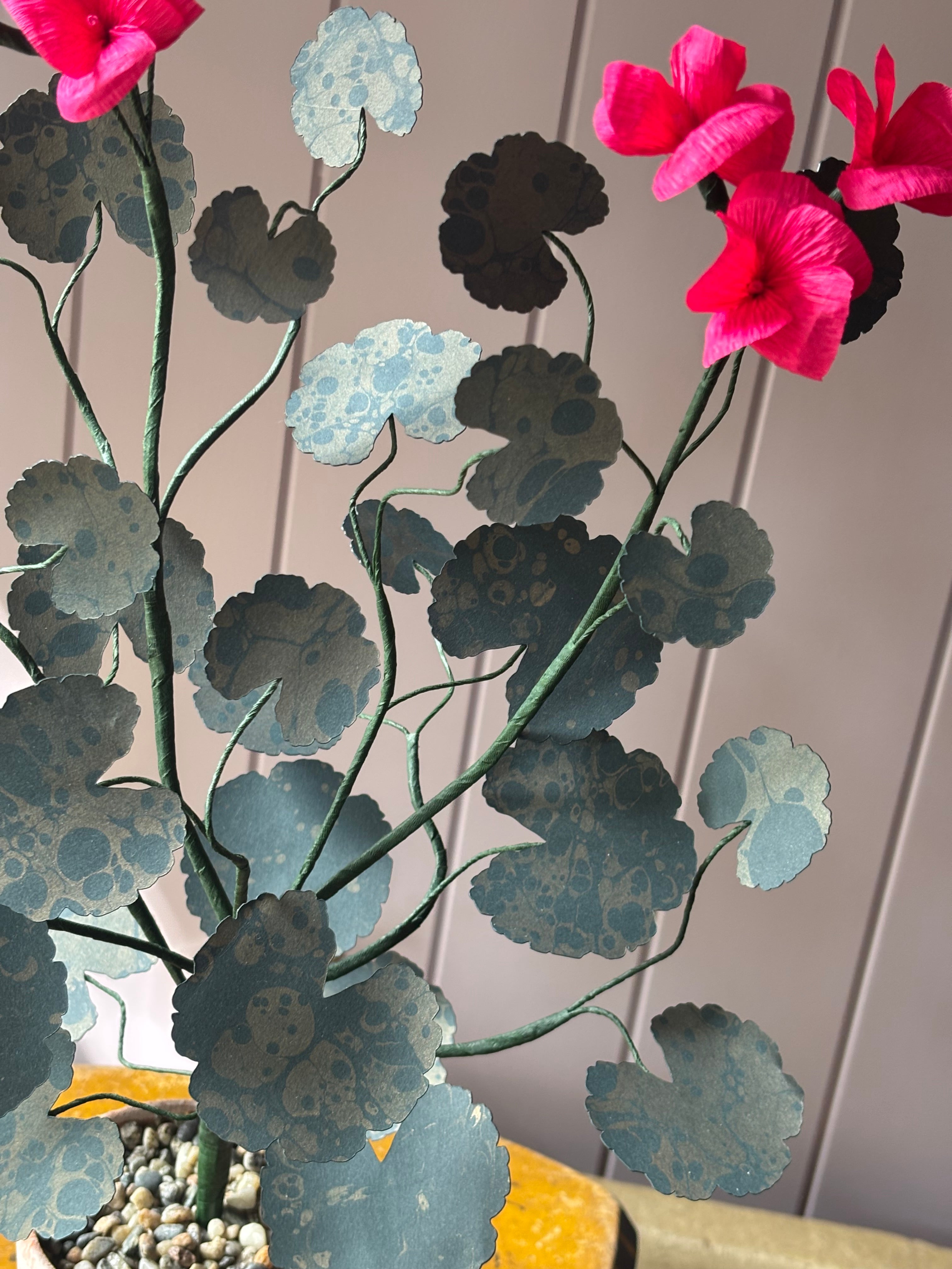 Paper geranium