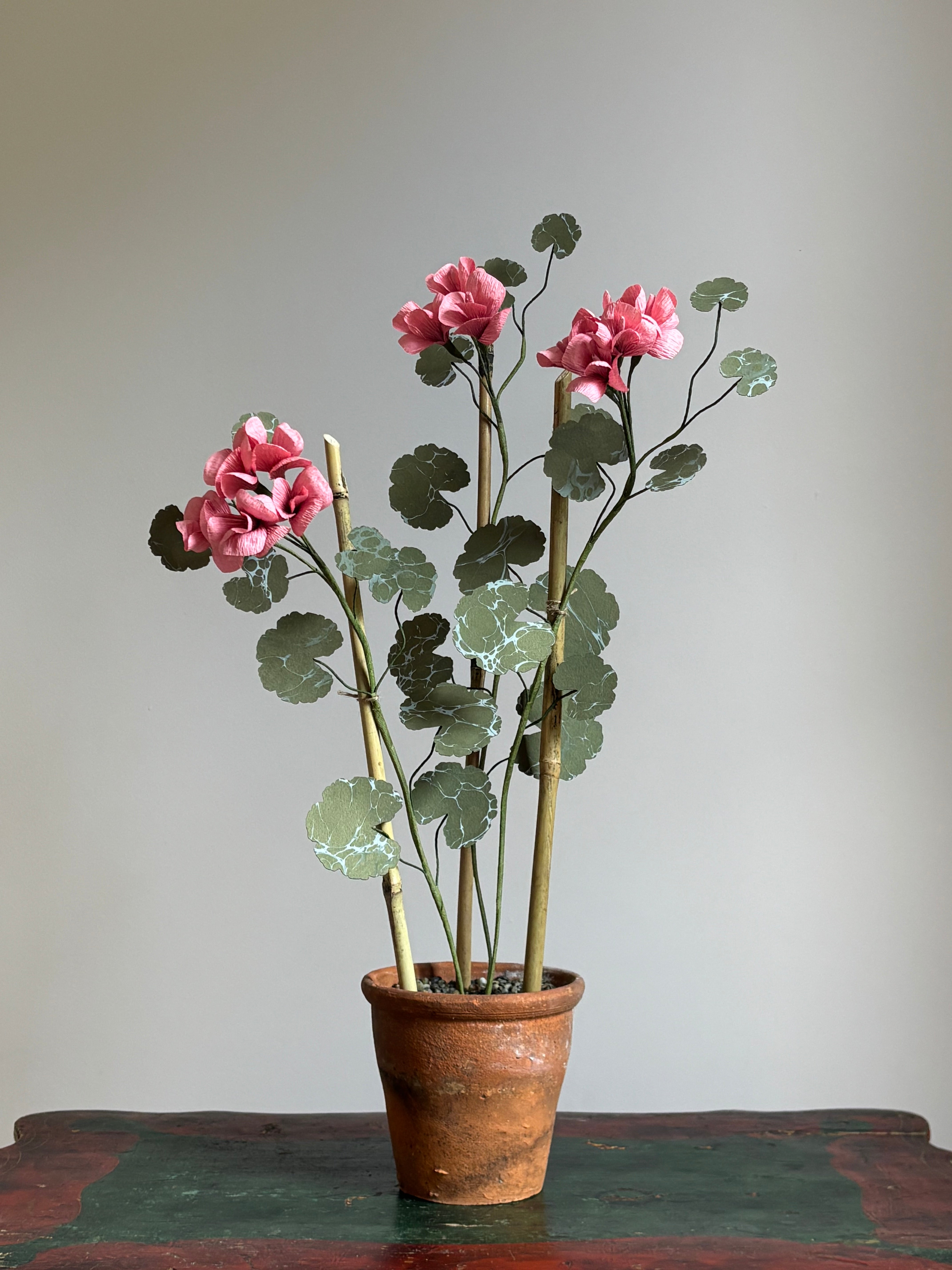 Paper Geranium