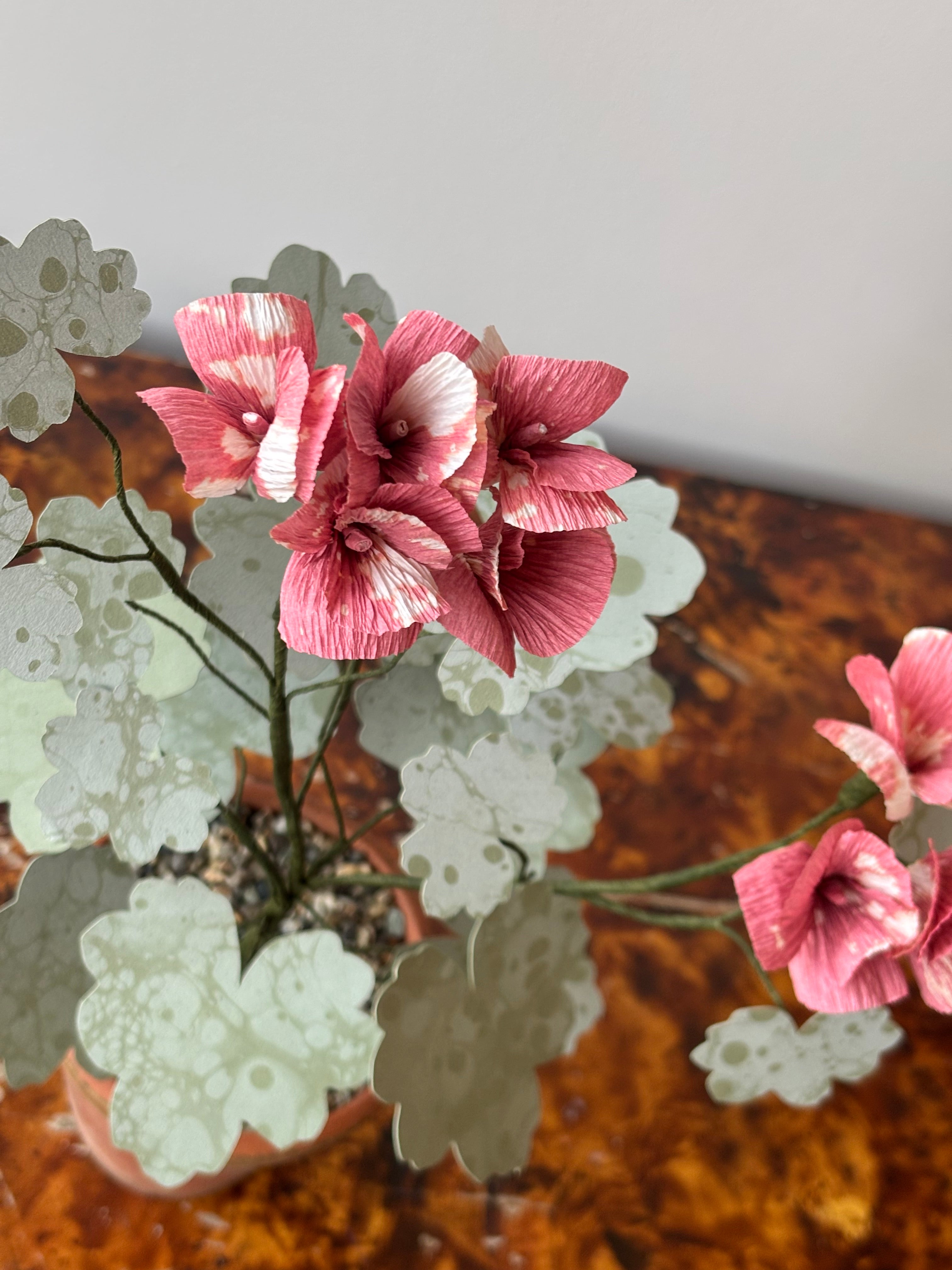 Paper Geranium