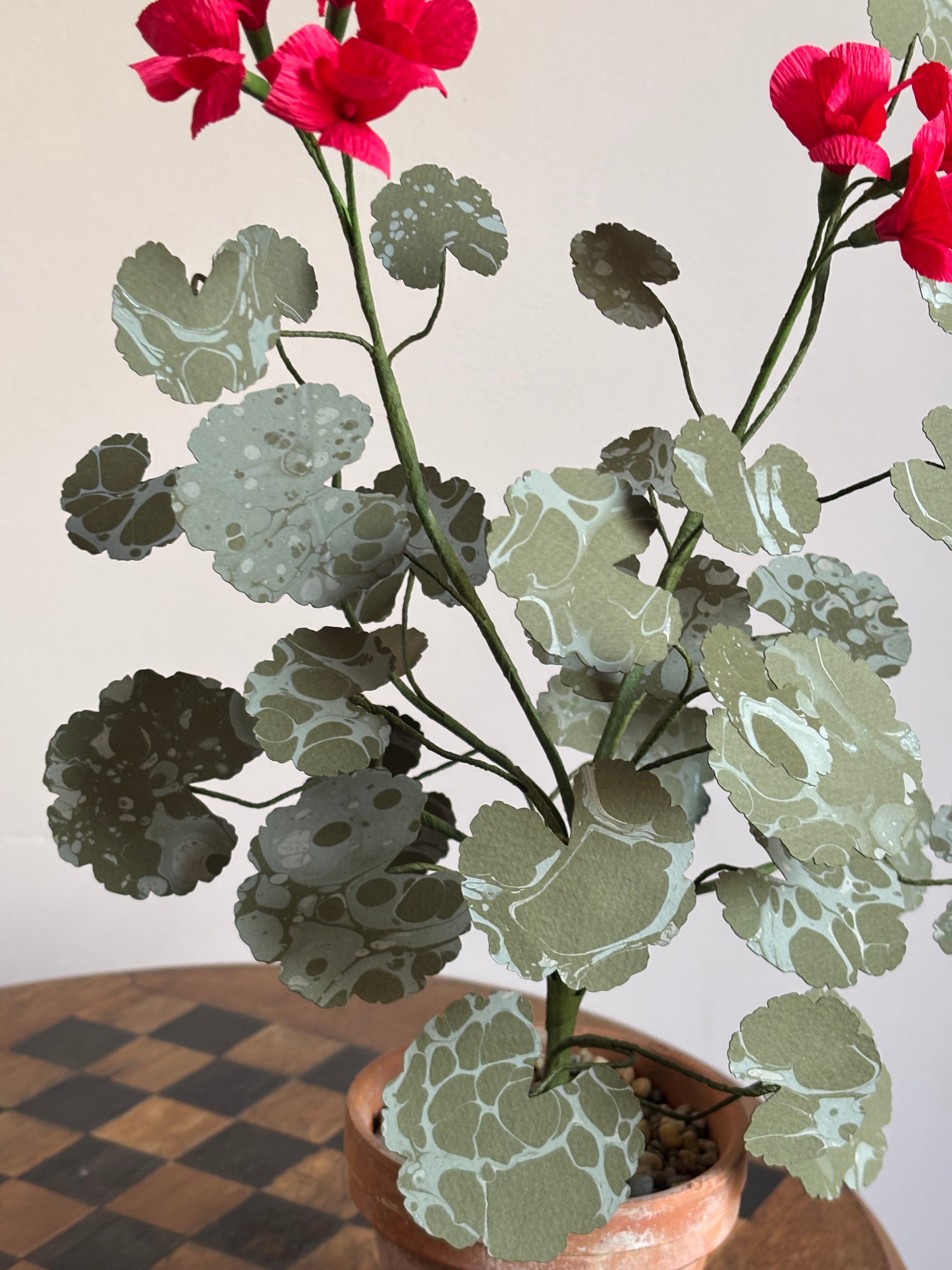 Paper Geranium