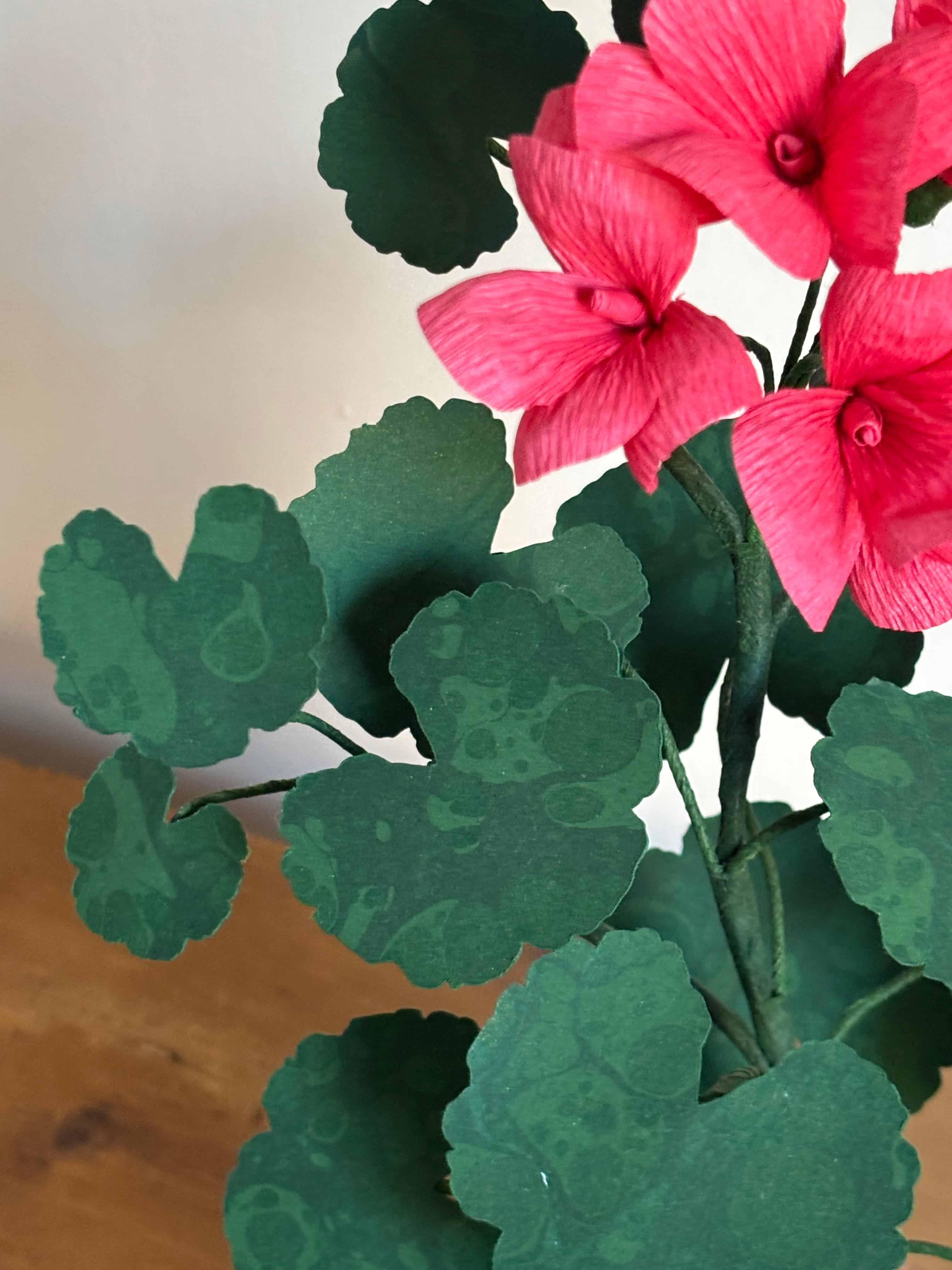 Paper Geranium