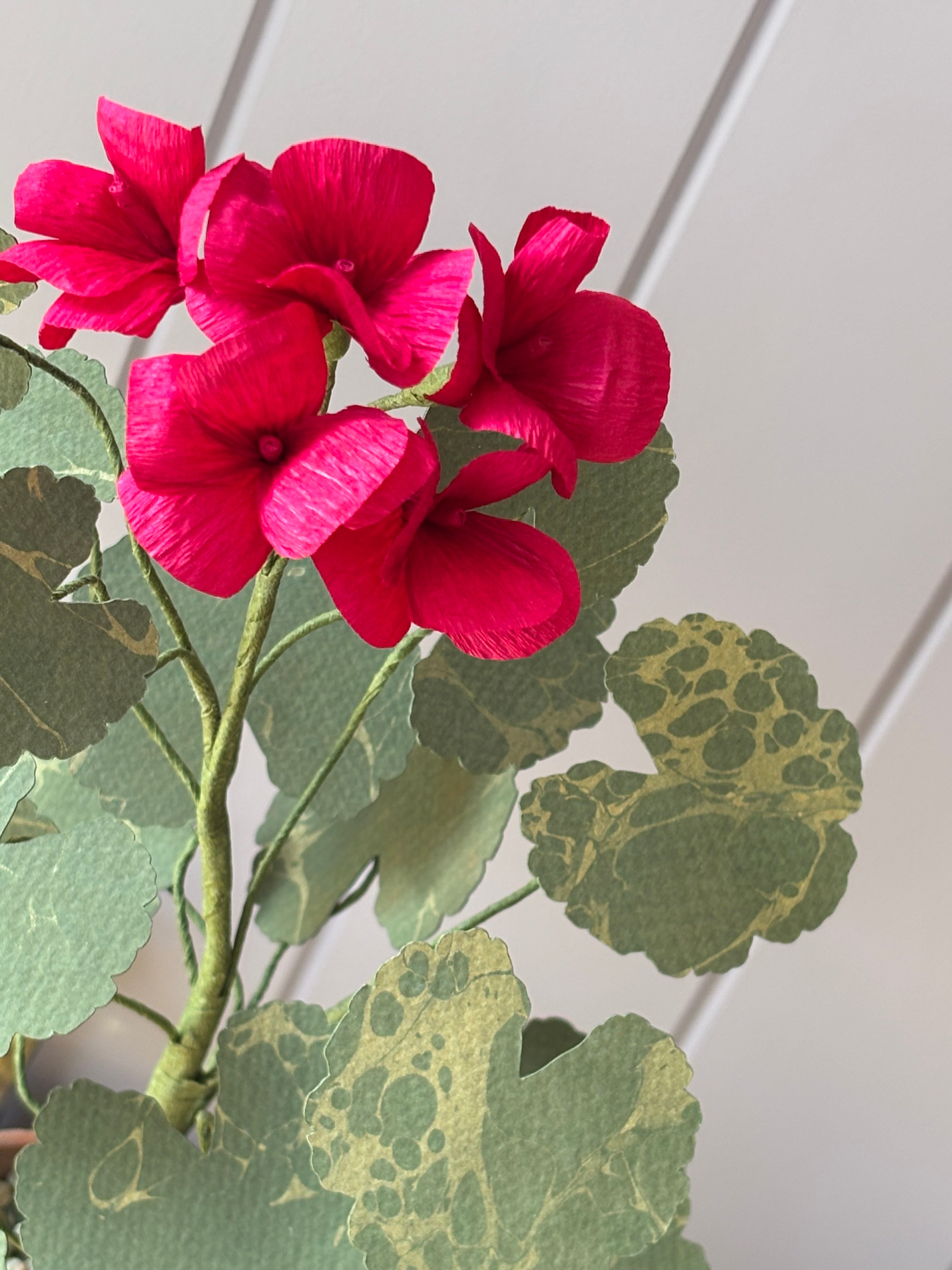 Paper Geranium