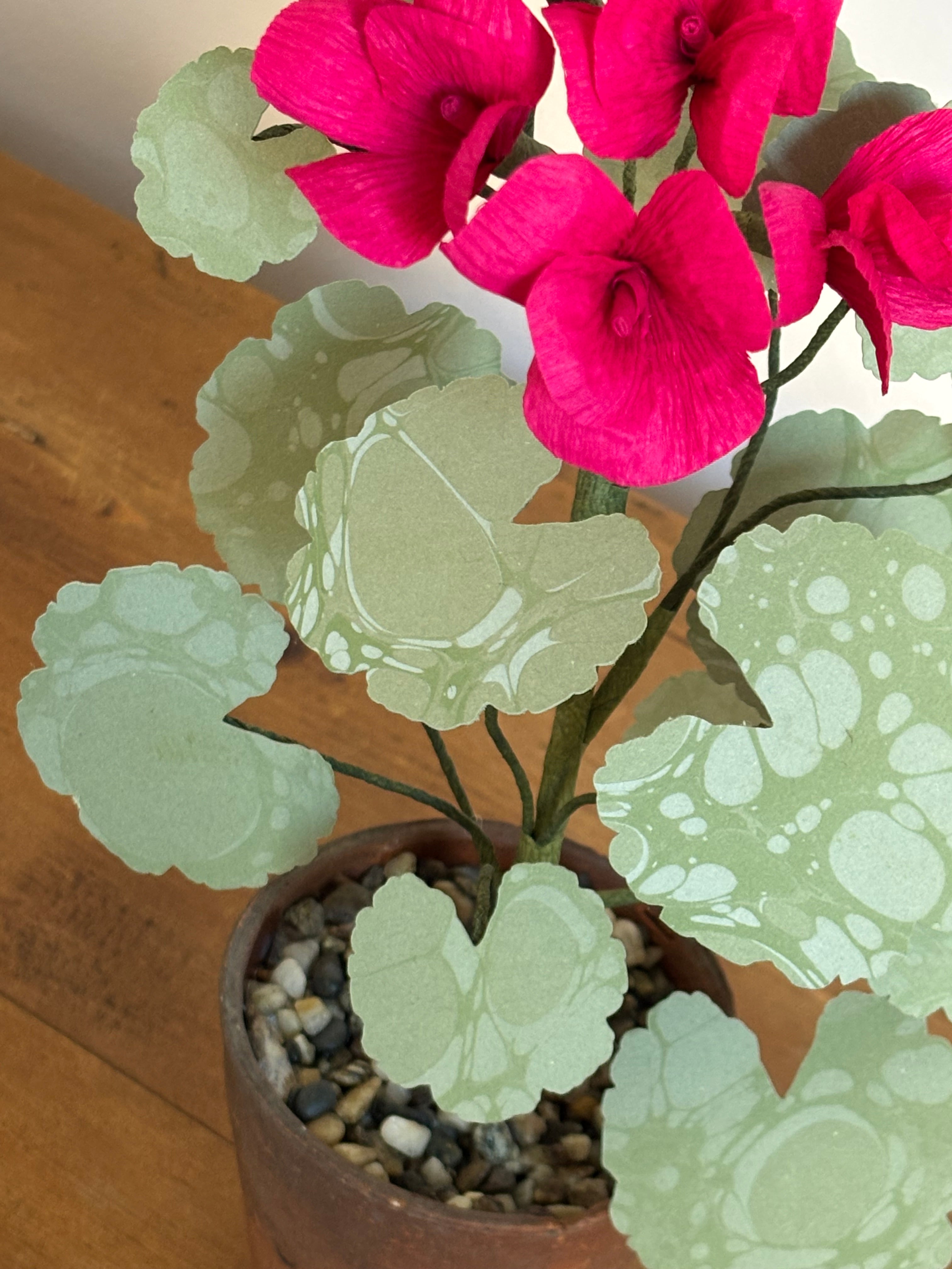 Paper Geranium