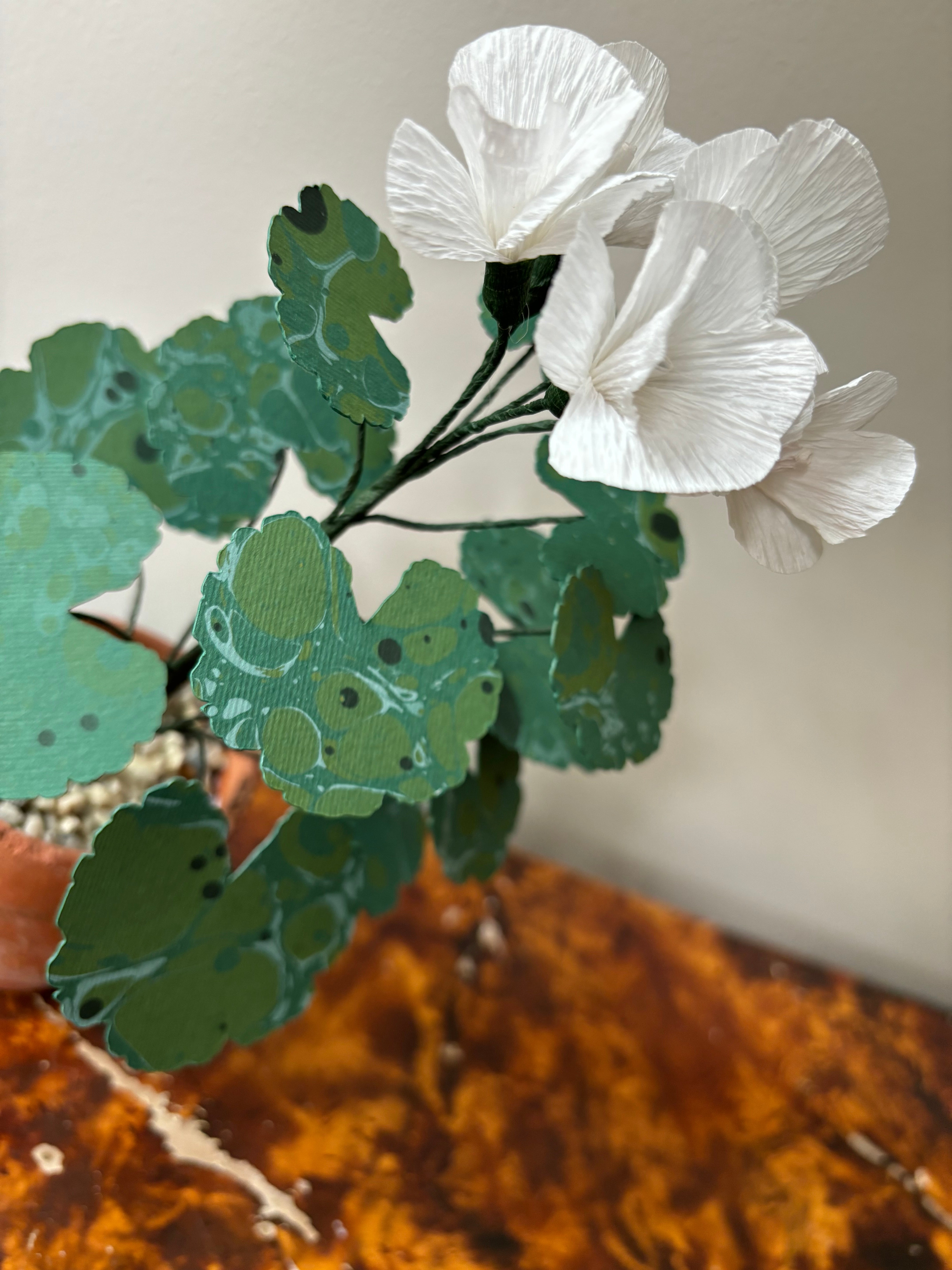 Paper Geranium