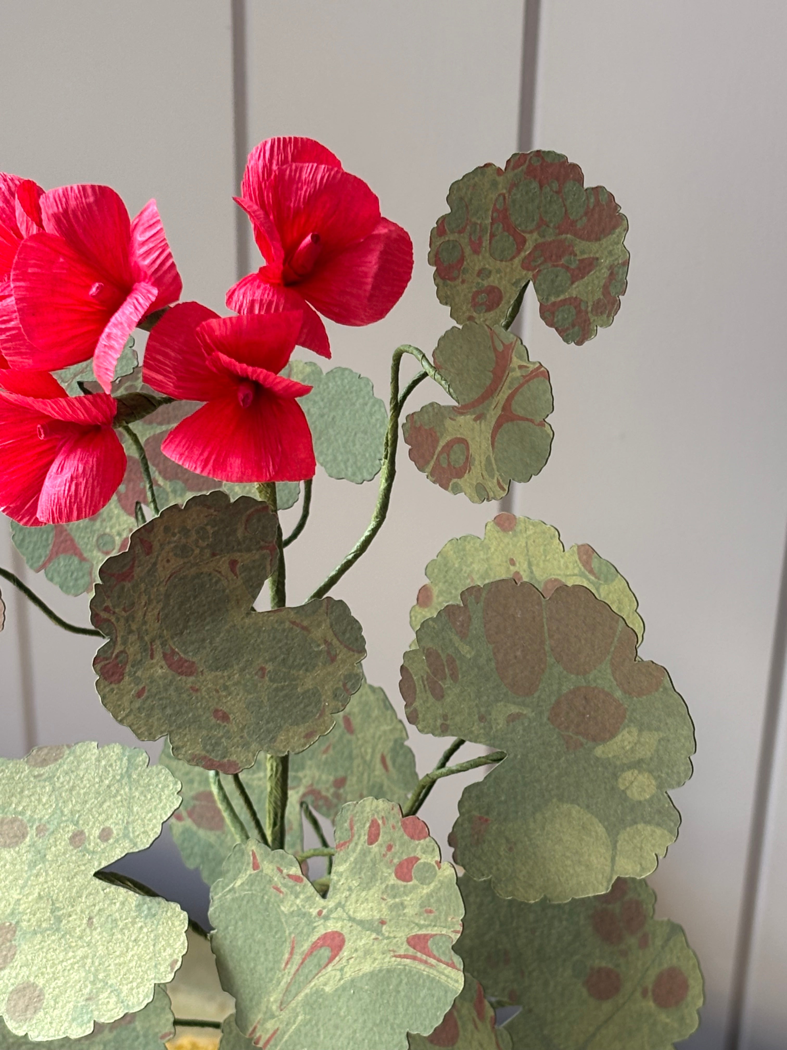 Paper Geranium