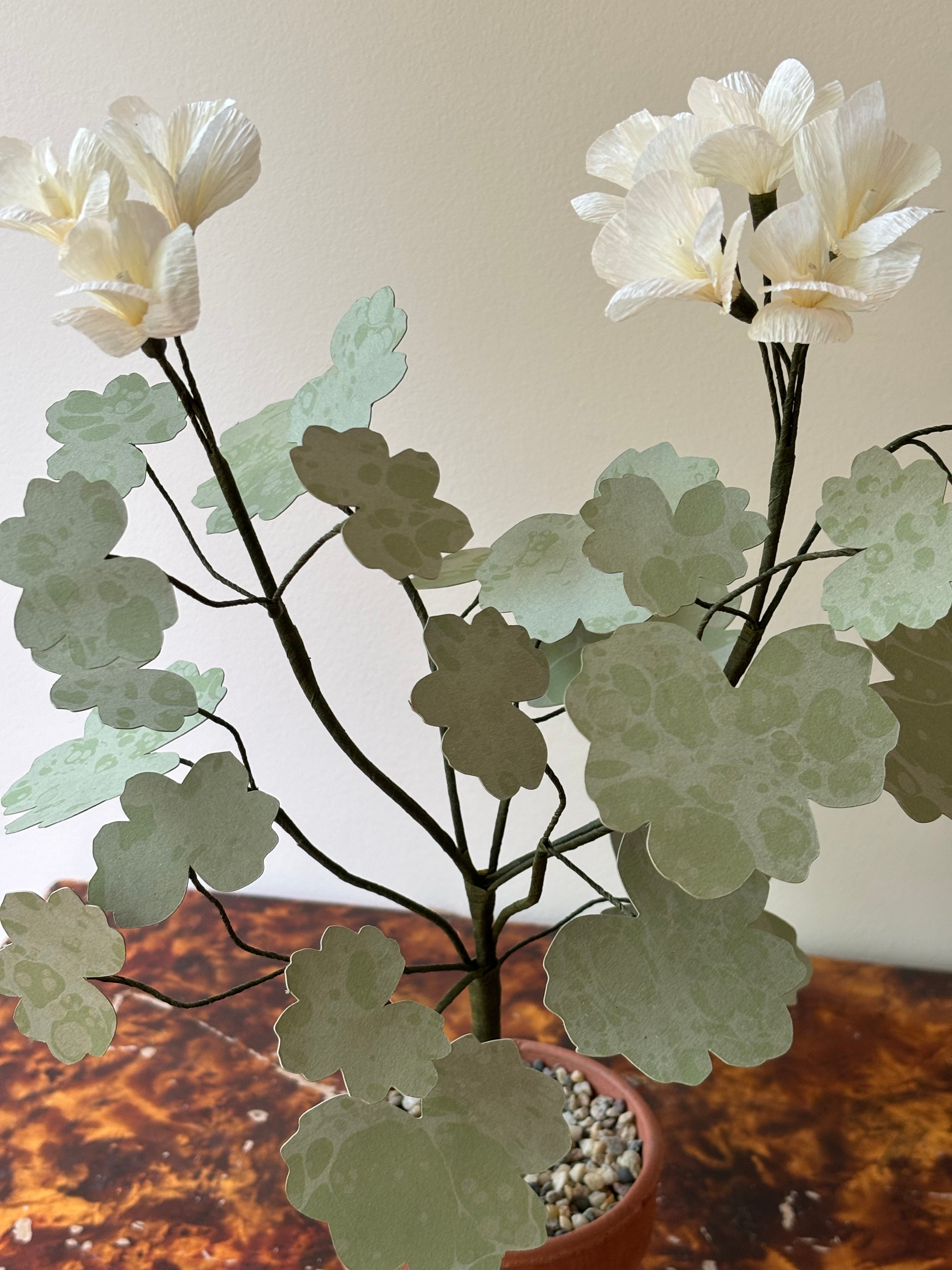 Paper Geranium