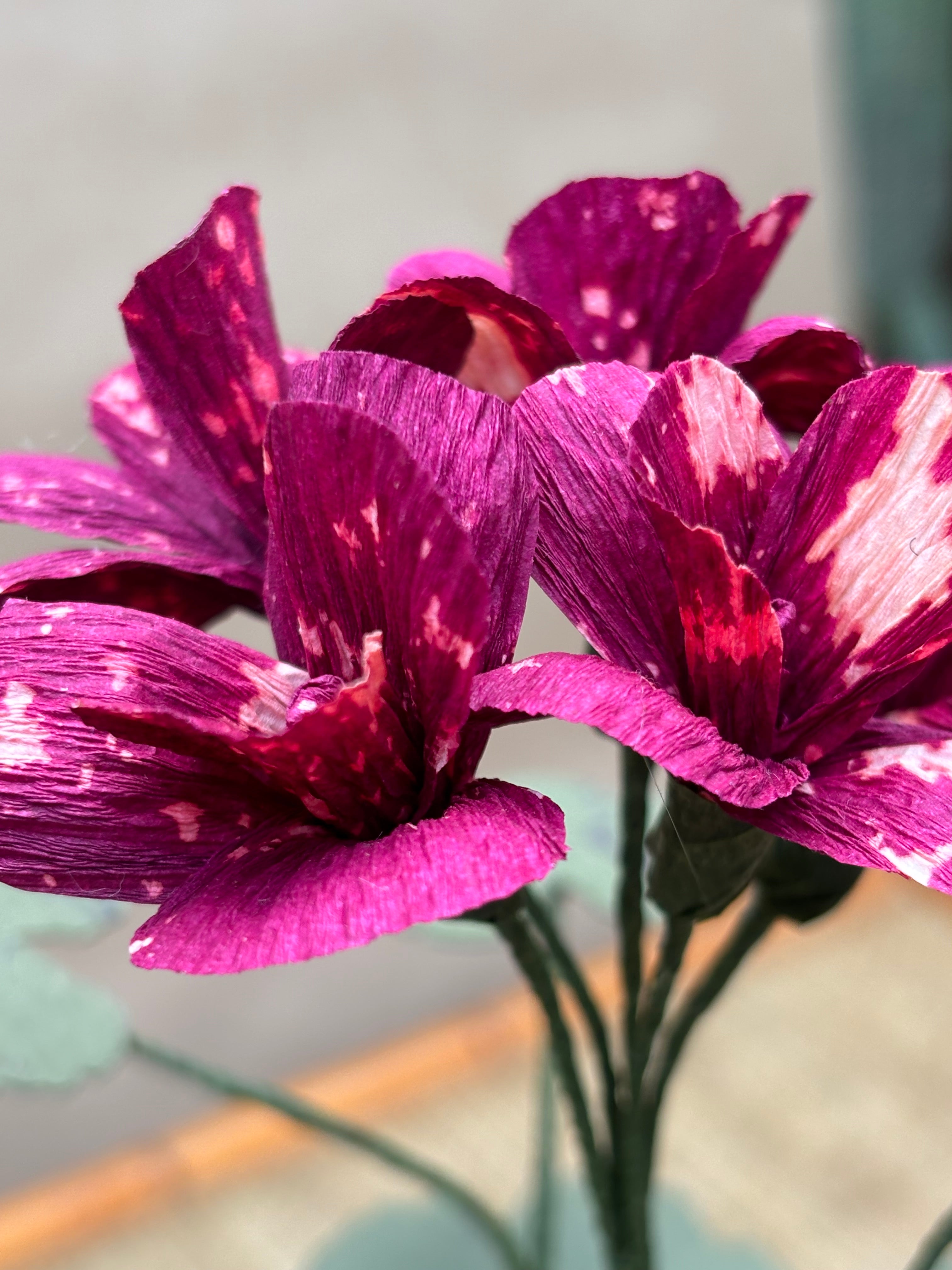 Paper Geranium