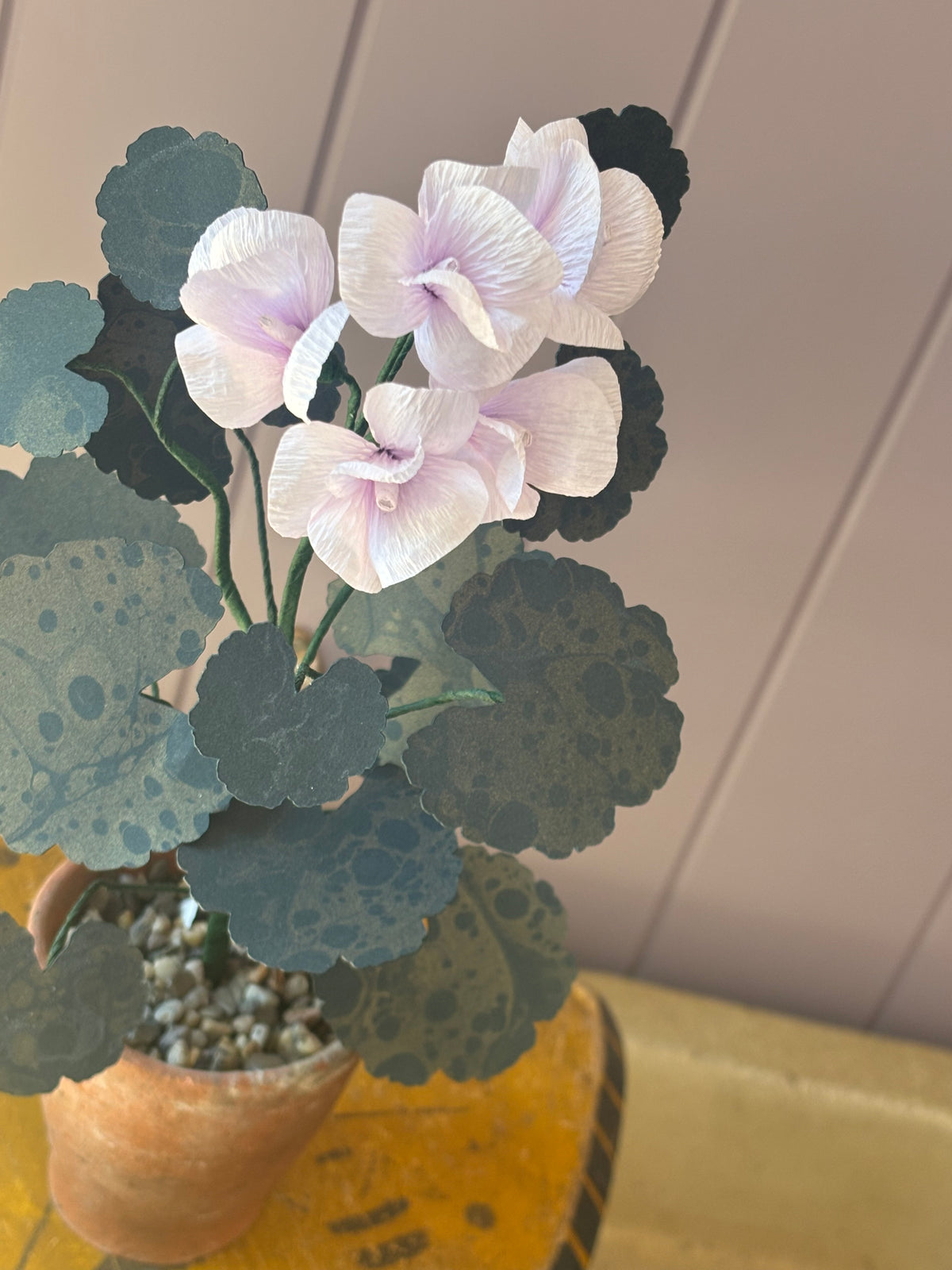 Paper geranium