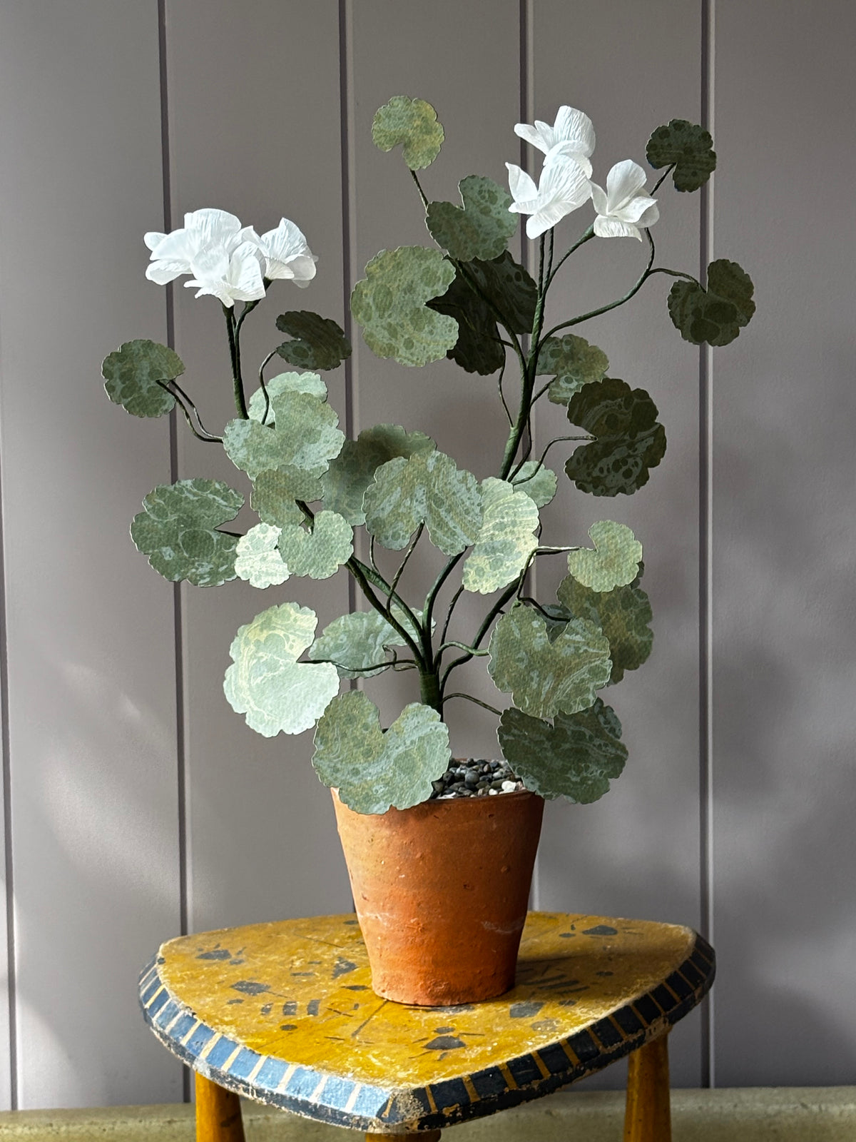 Paper geranium