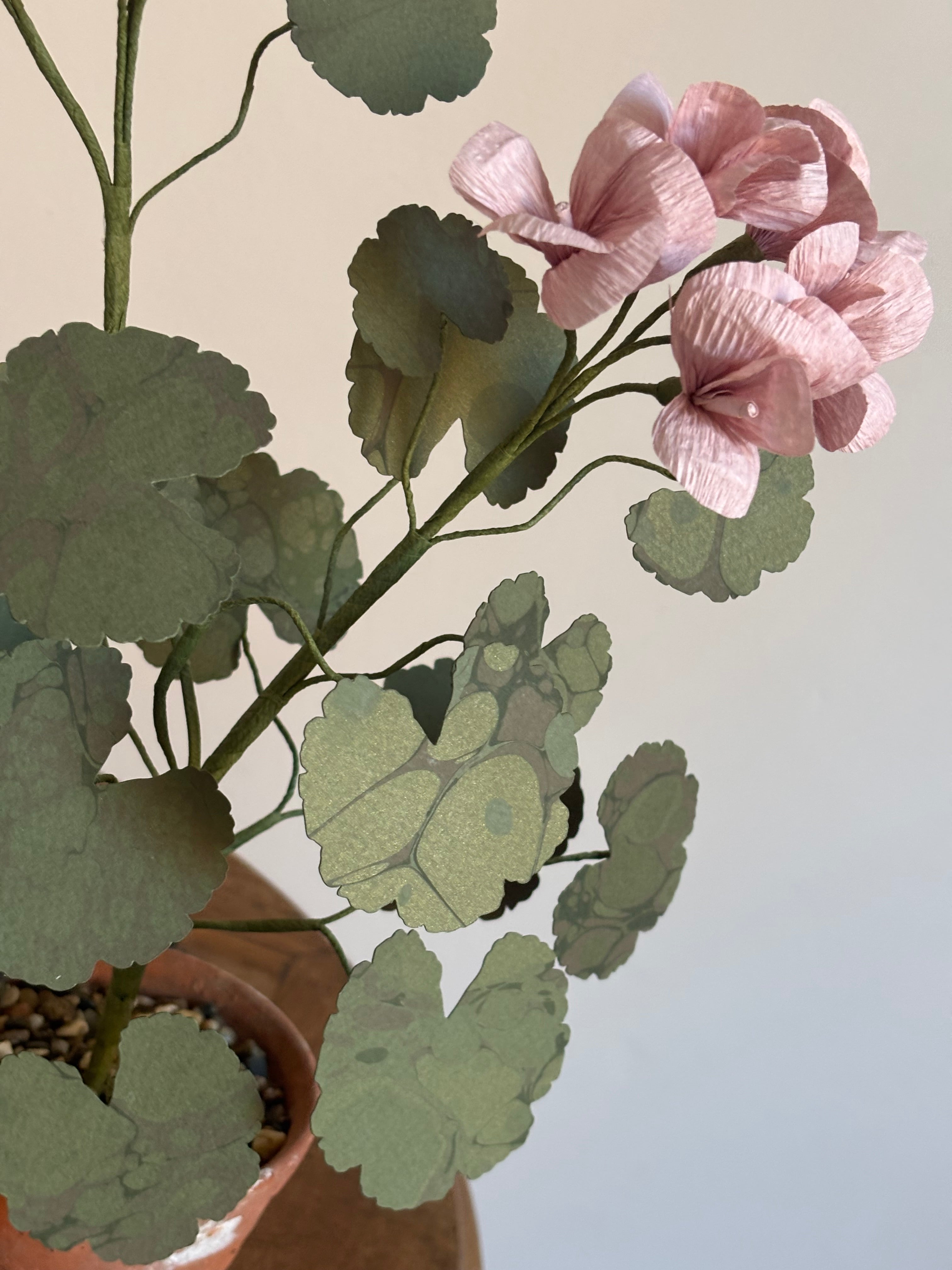 Paper Geranium