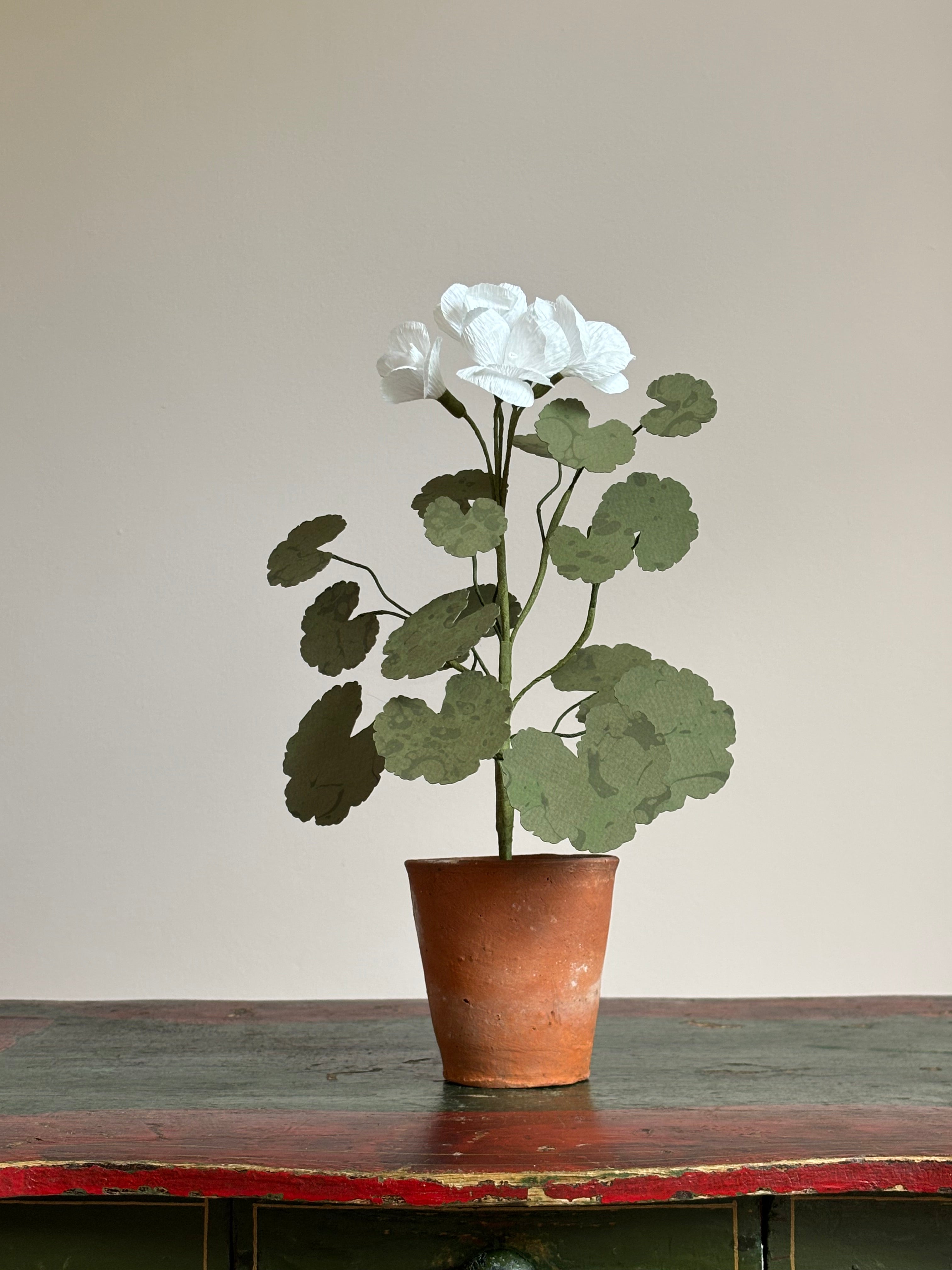 Paper Geranium