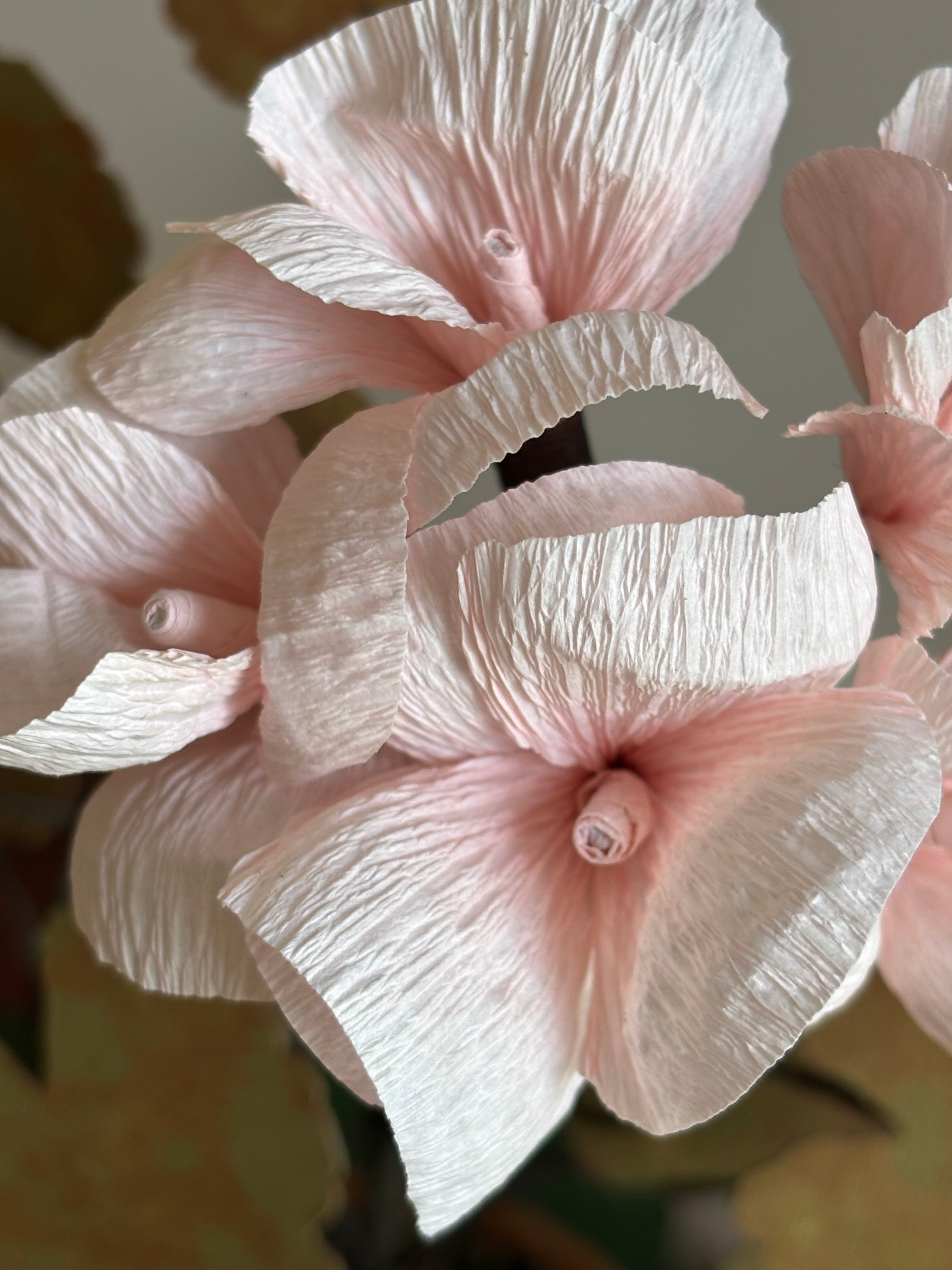 Paper Geraniums