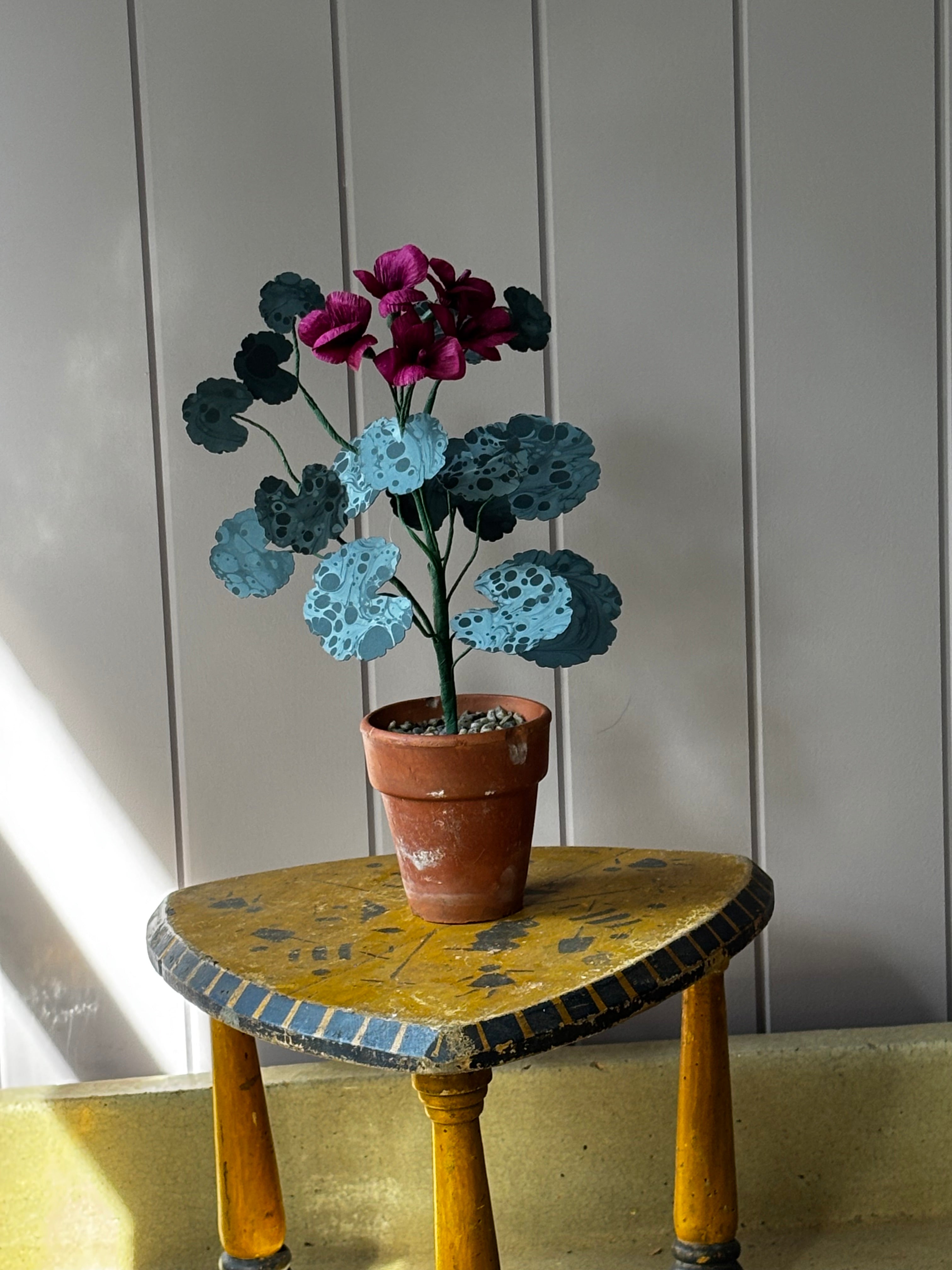 Paper geranium