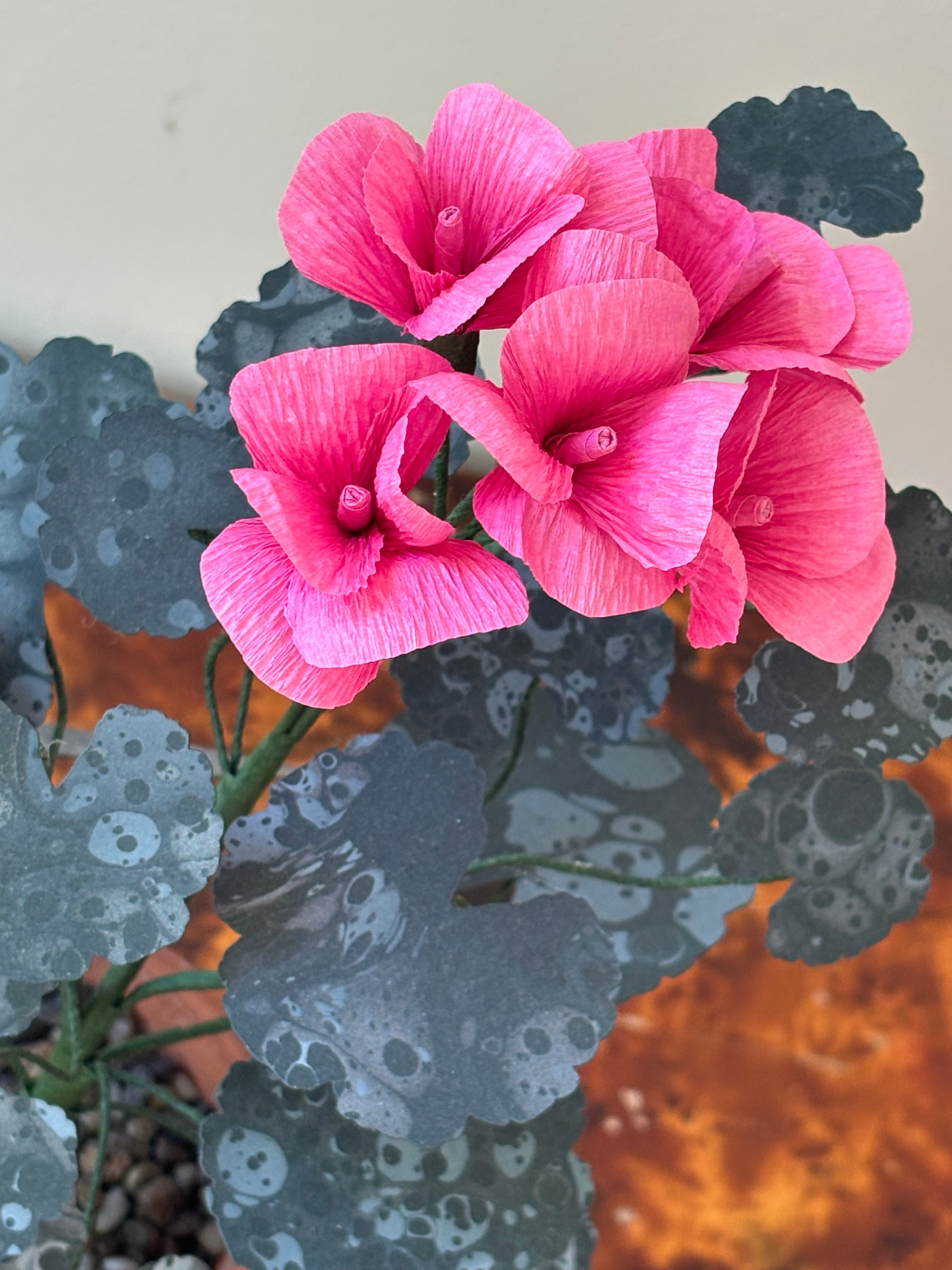Paper Geranium
