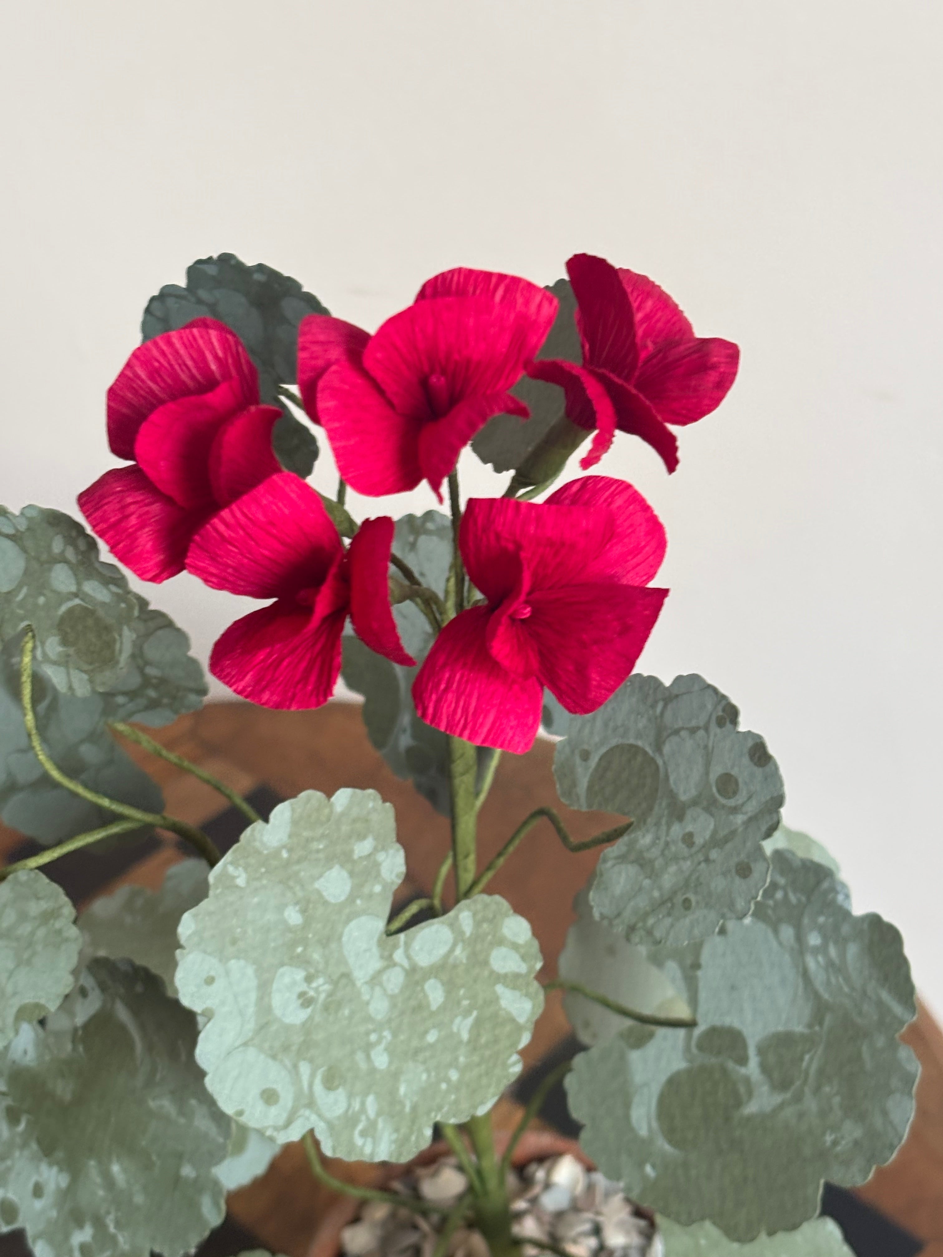 Paper Geranium