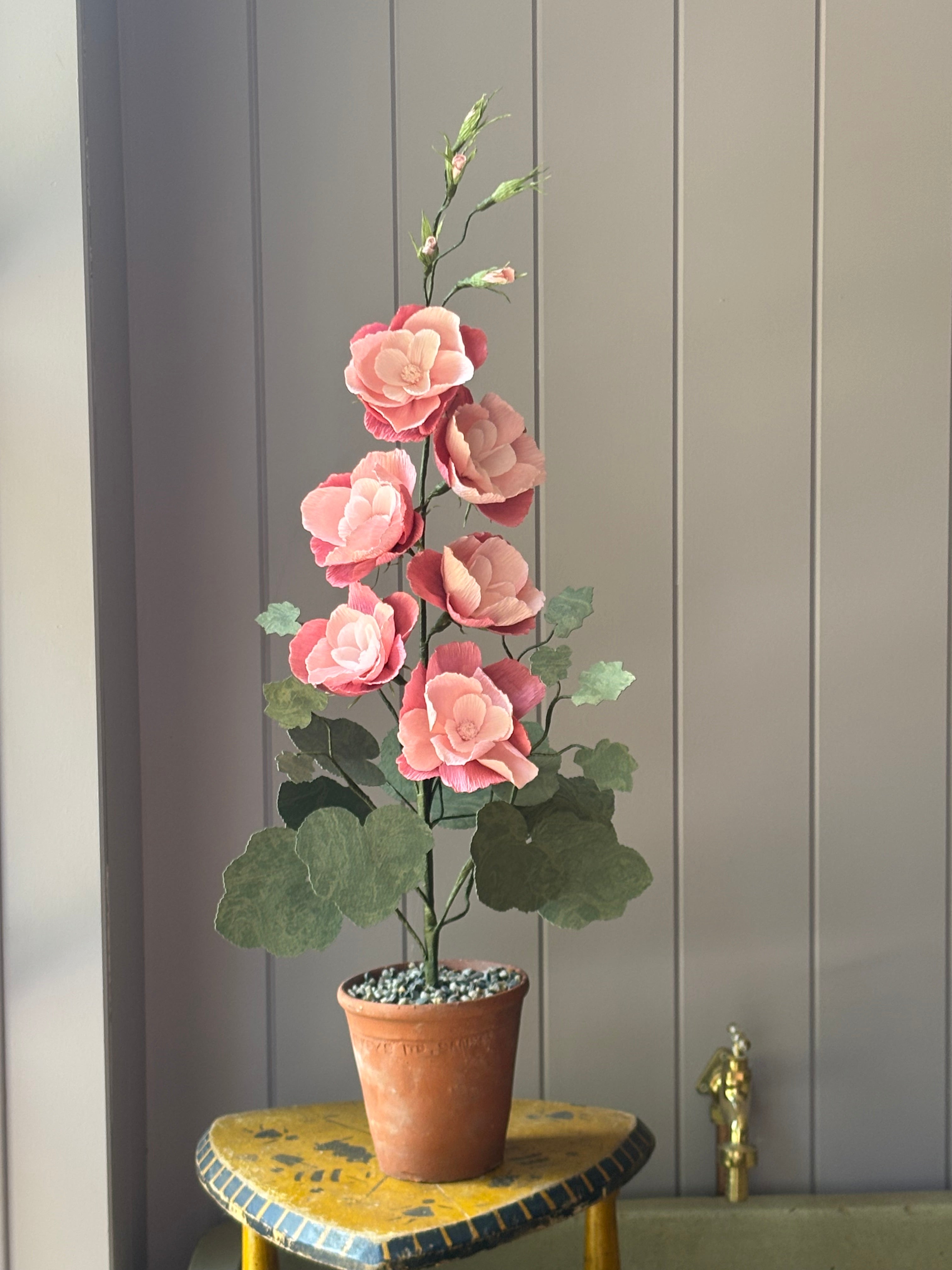 Paper Hollyhock