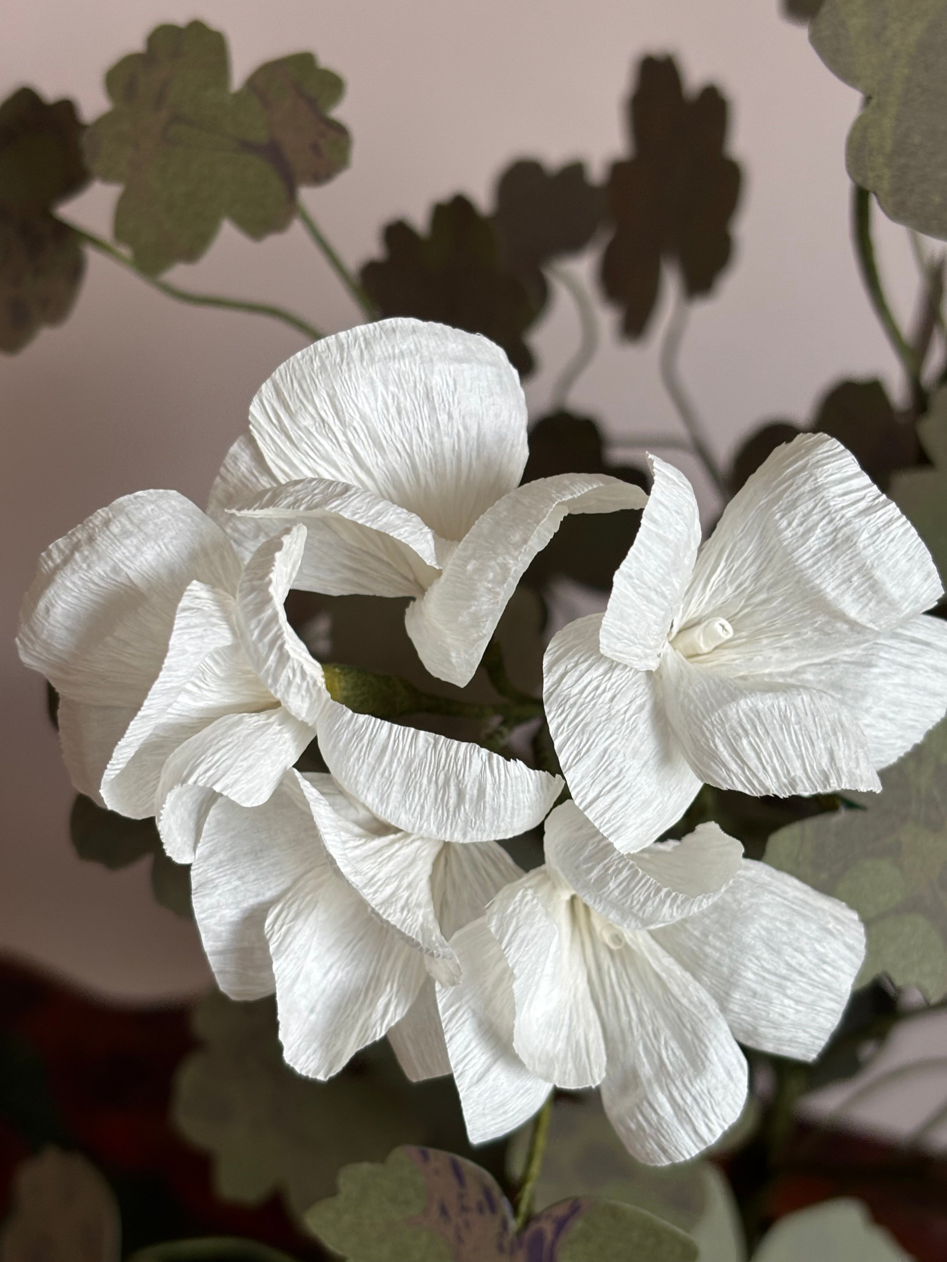 Paper Geranium