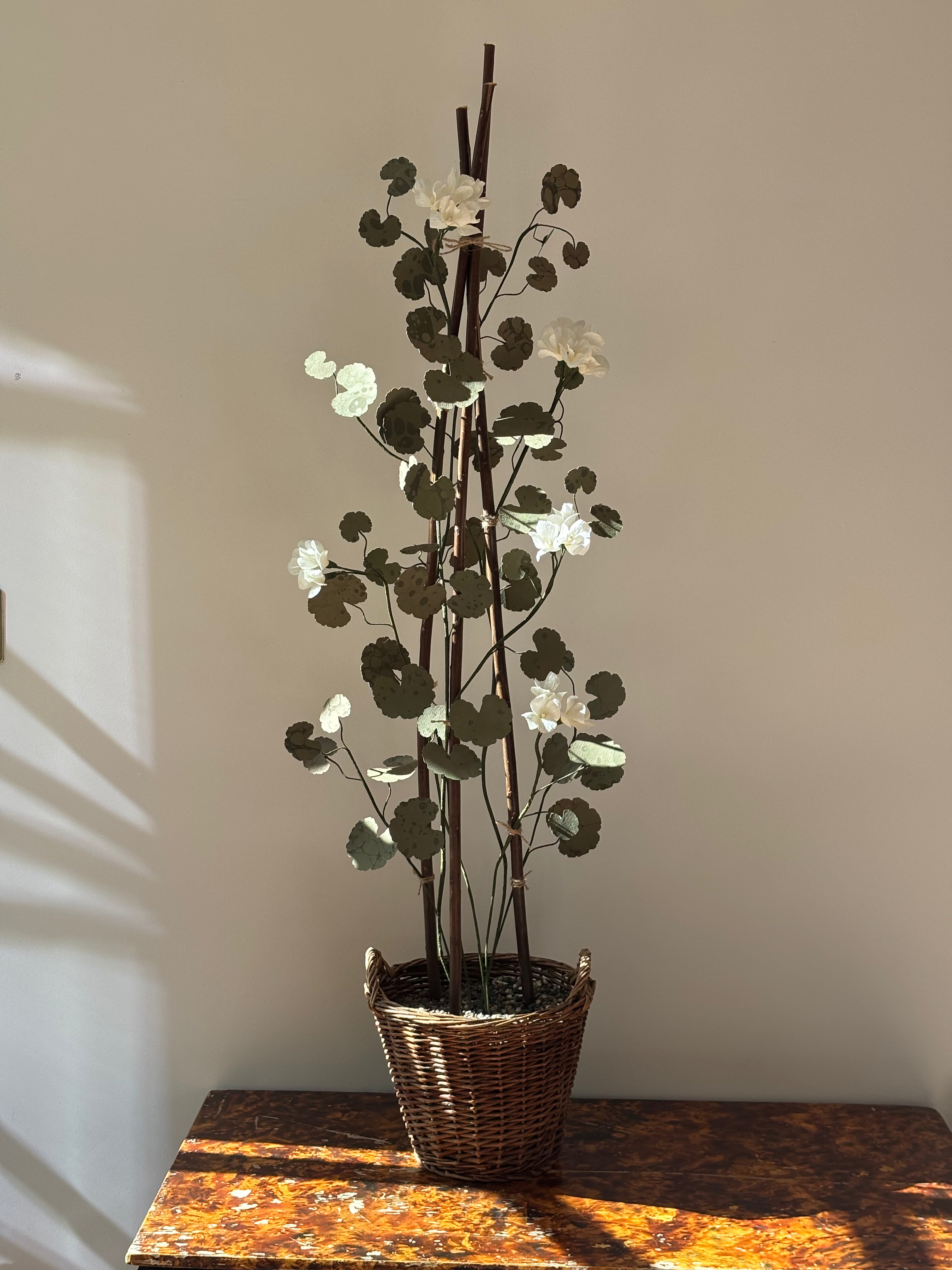 Paper Geranium - UK Delivery Only