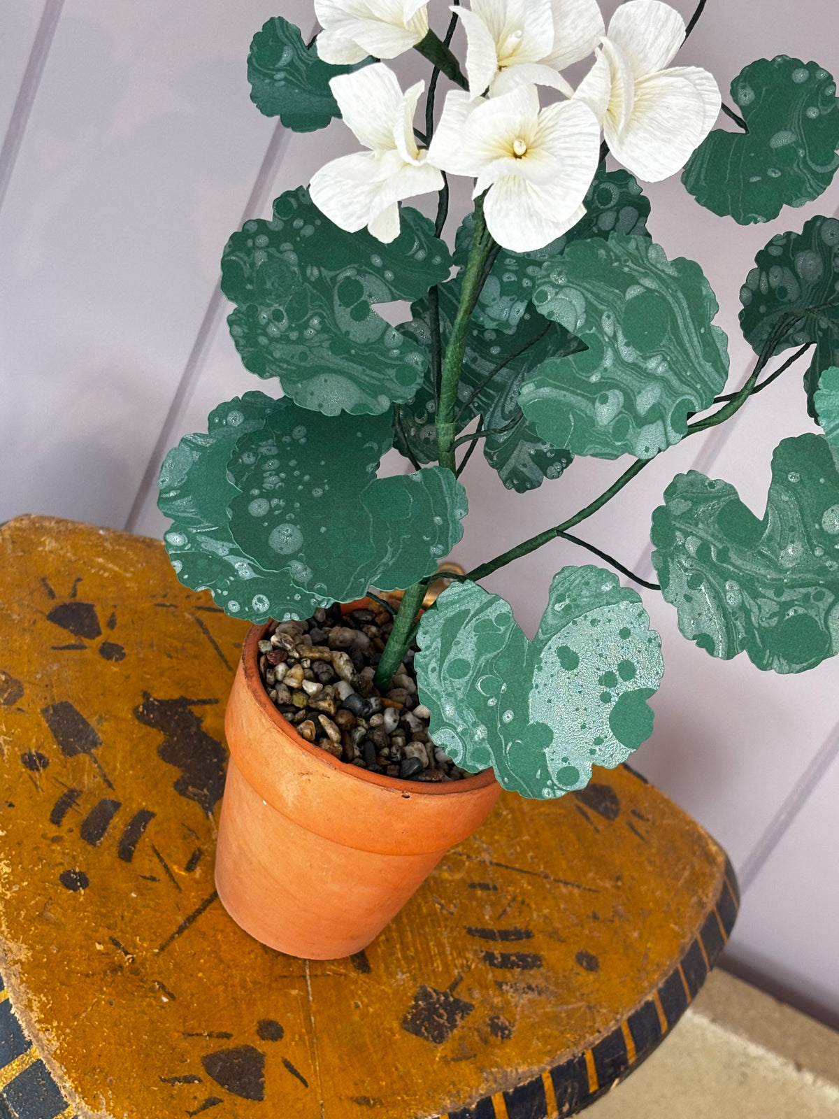Paper geranium