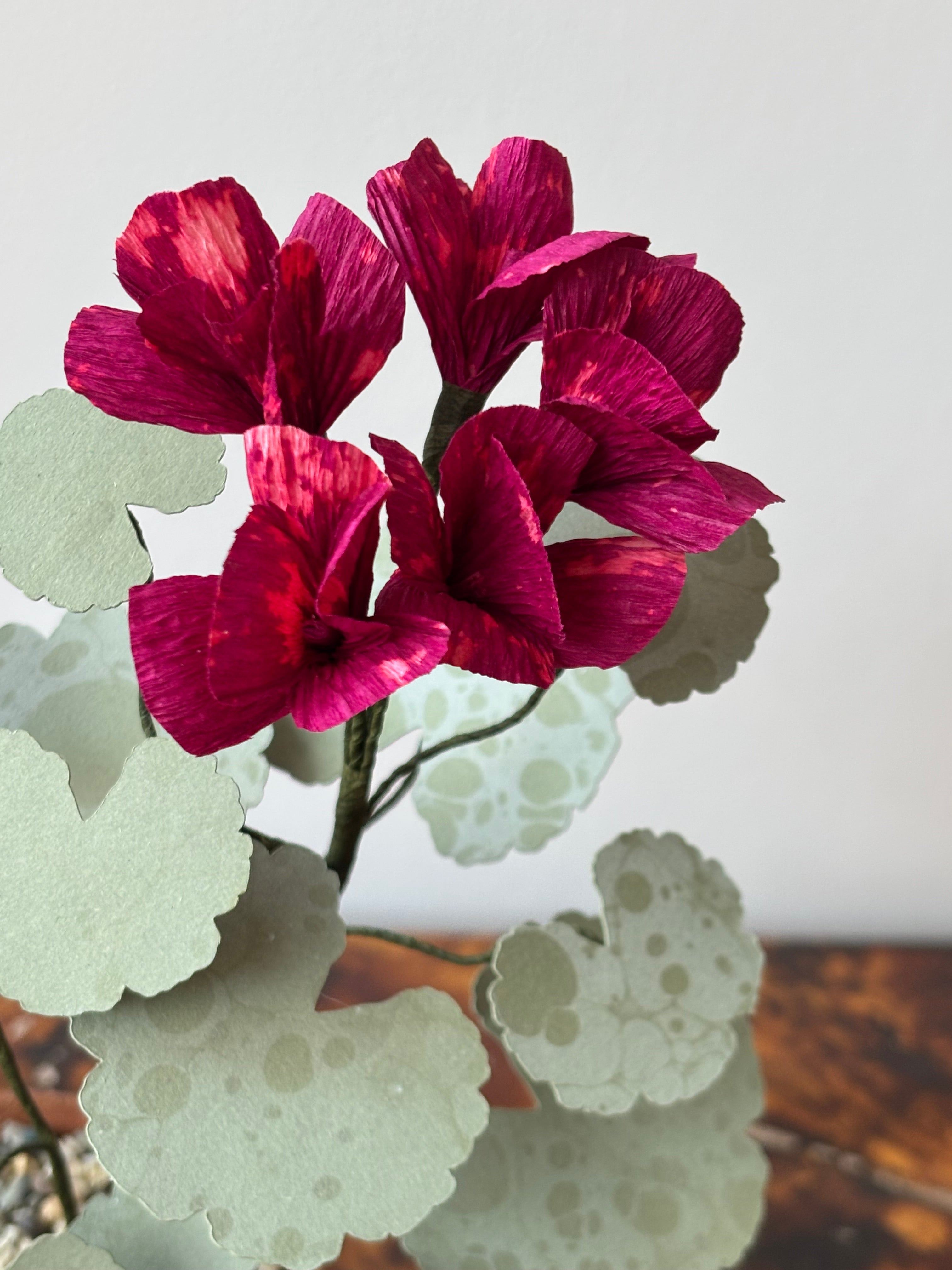 Paper Geranium