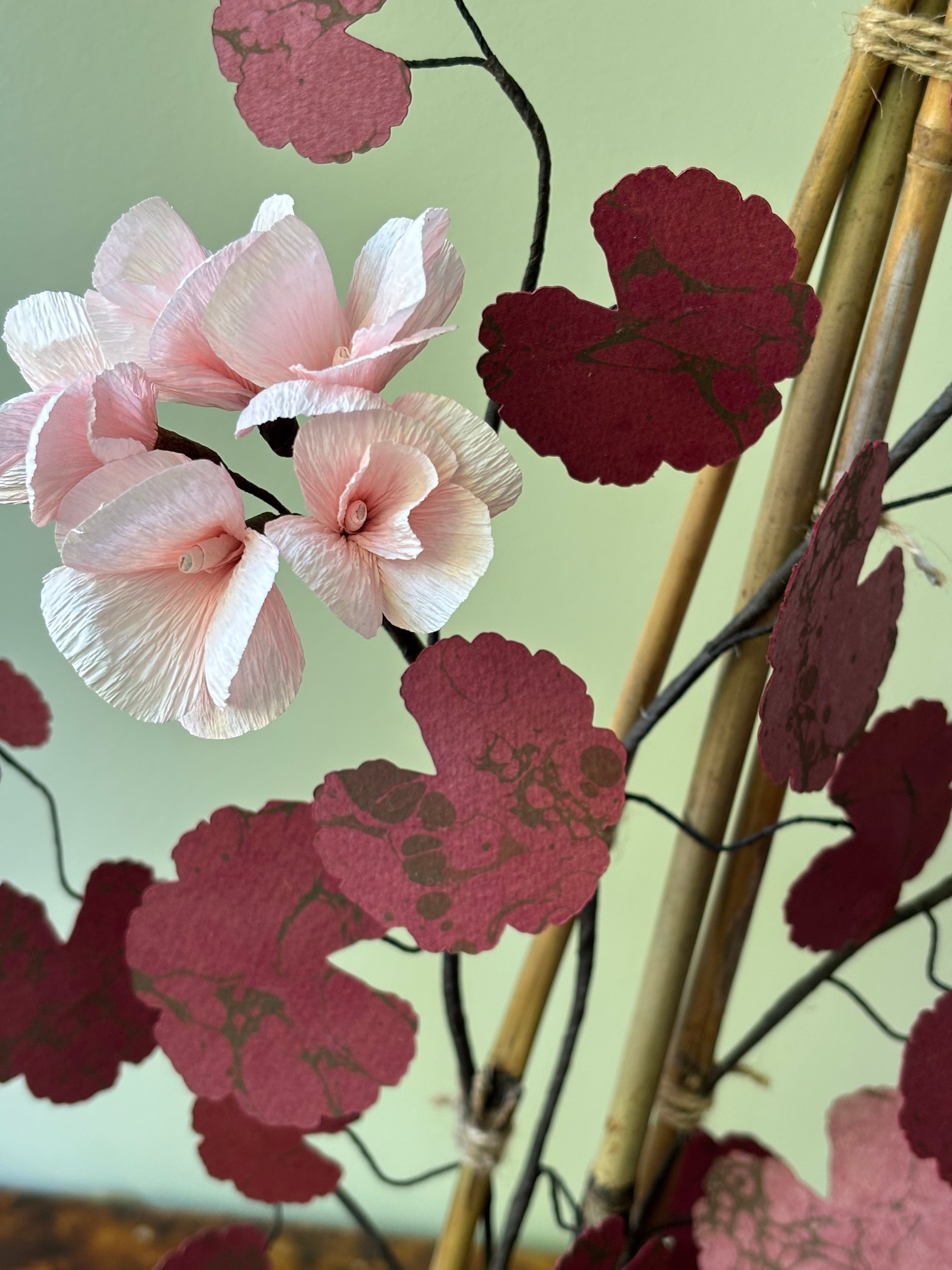 Paper Geranium