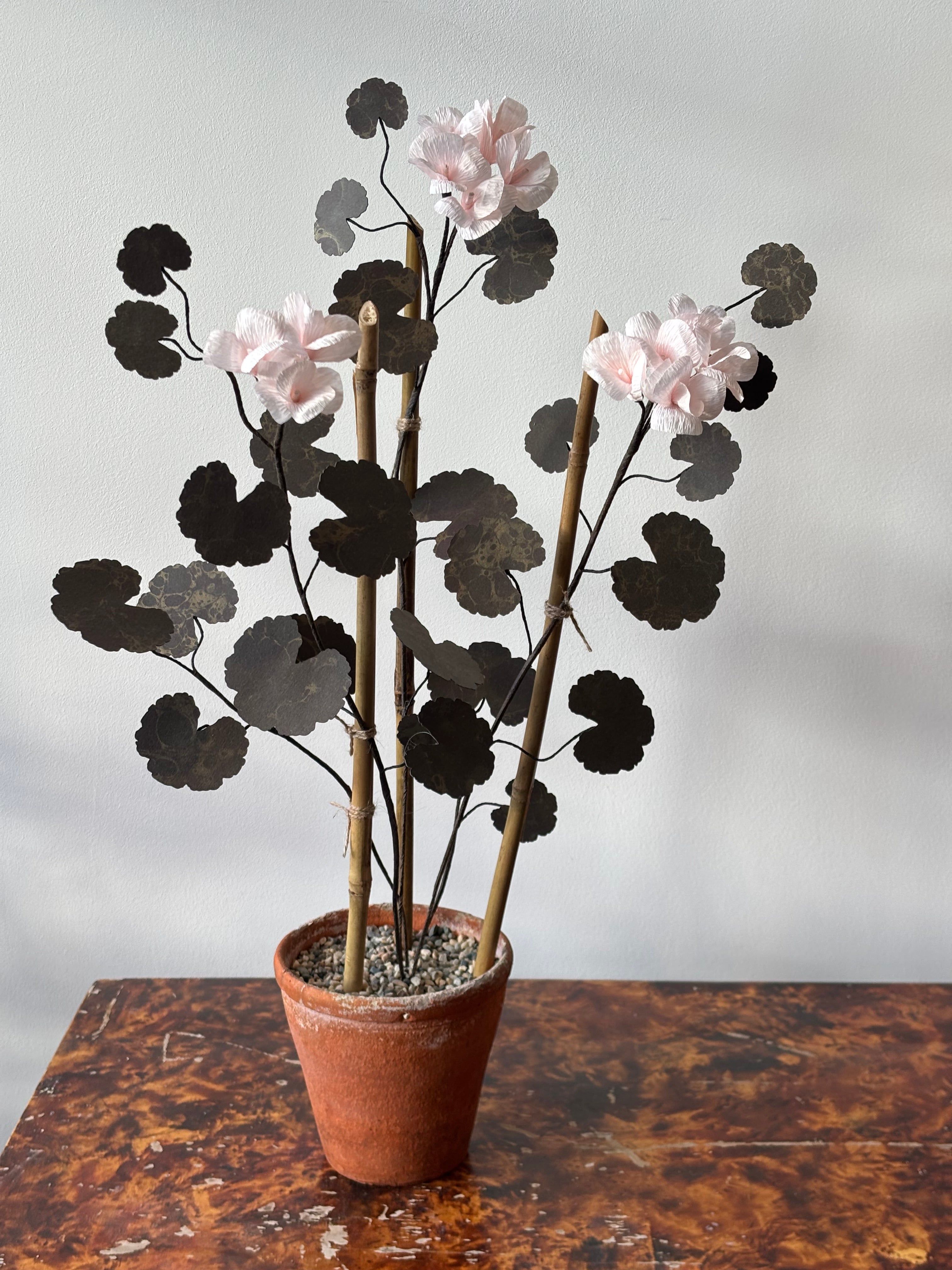 Paper Geranium