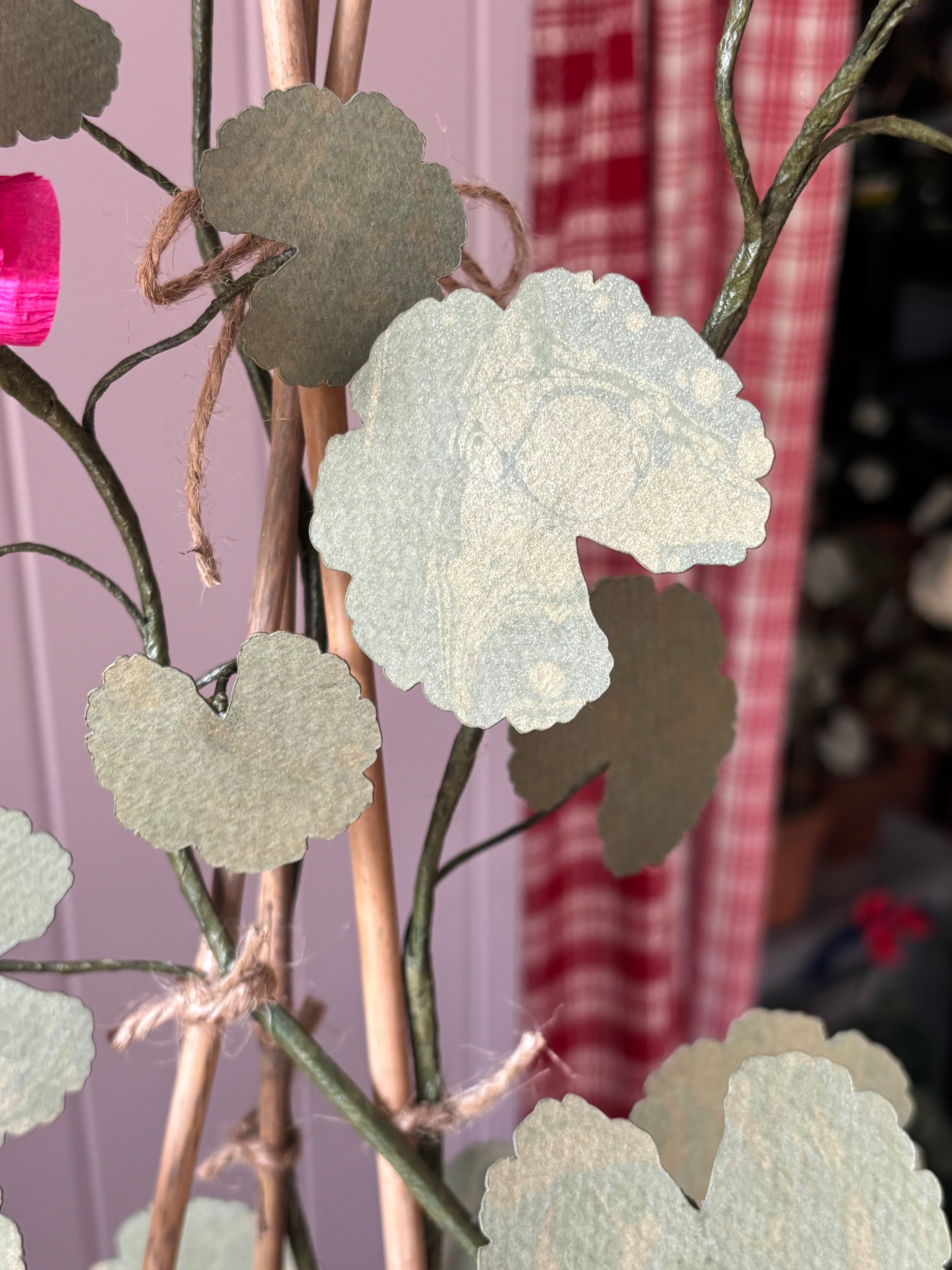 Paper geranium
