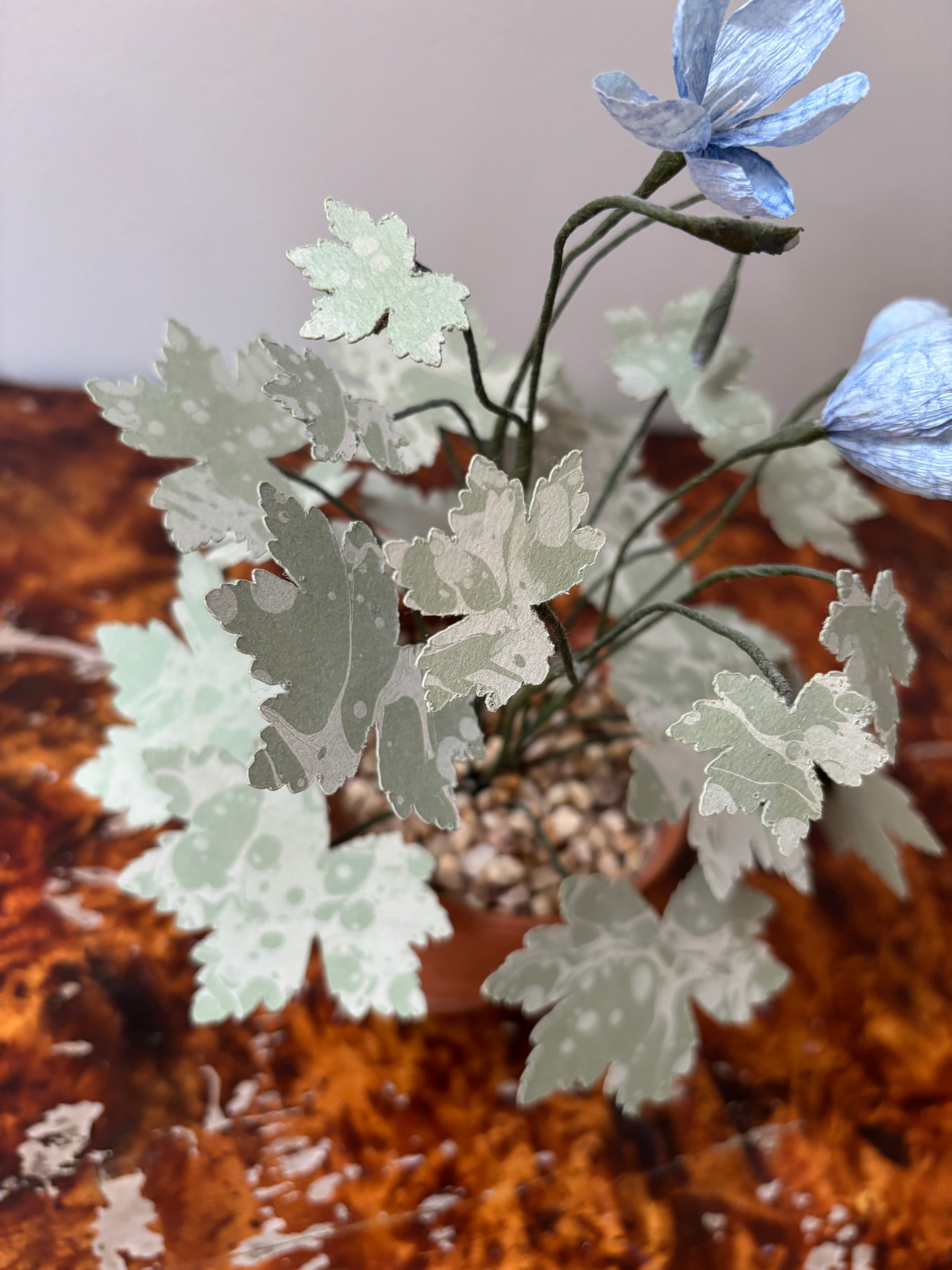 Paper Hardy Geranium - SECOND